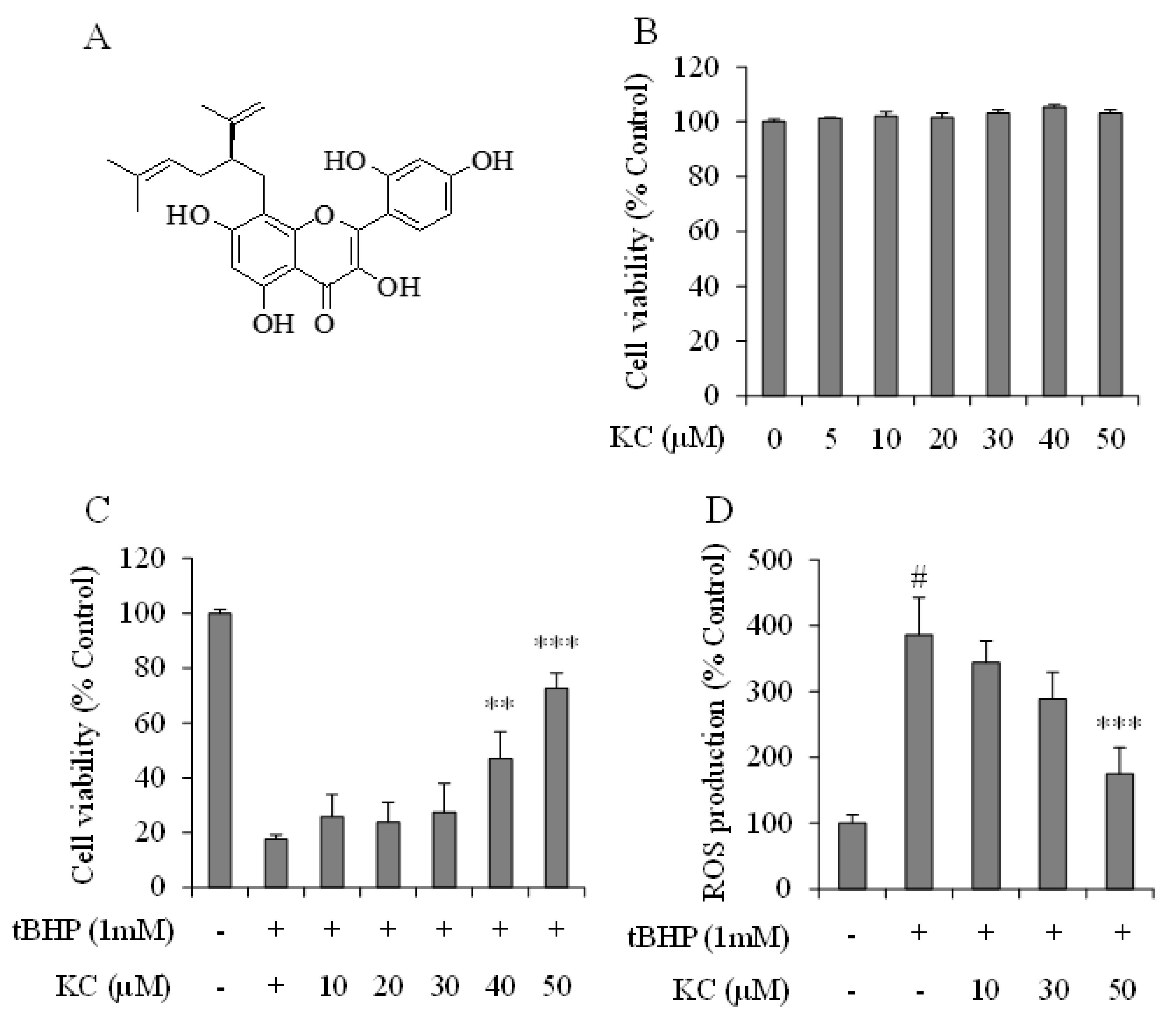 Molecules 26 01635 g001