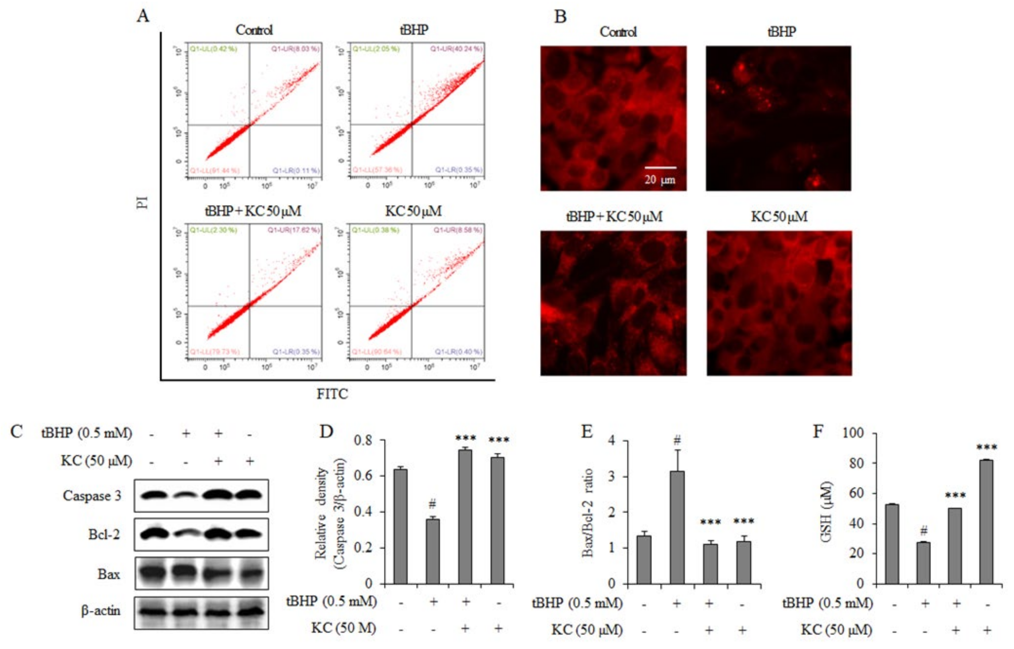 Molecules 26 01635 g002