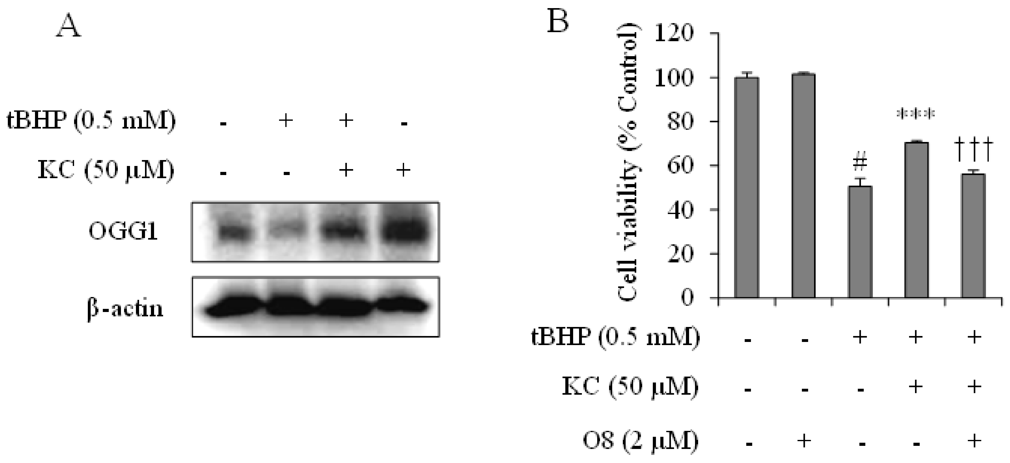 Molecules 26 01635 g003