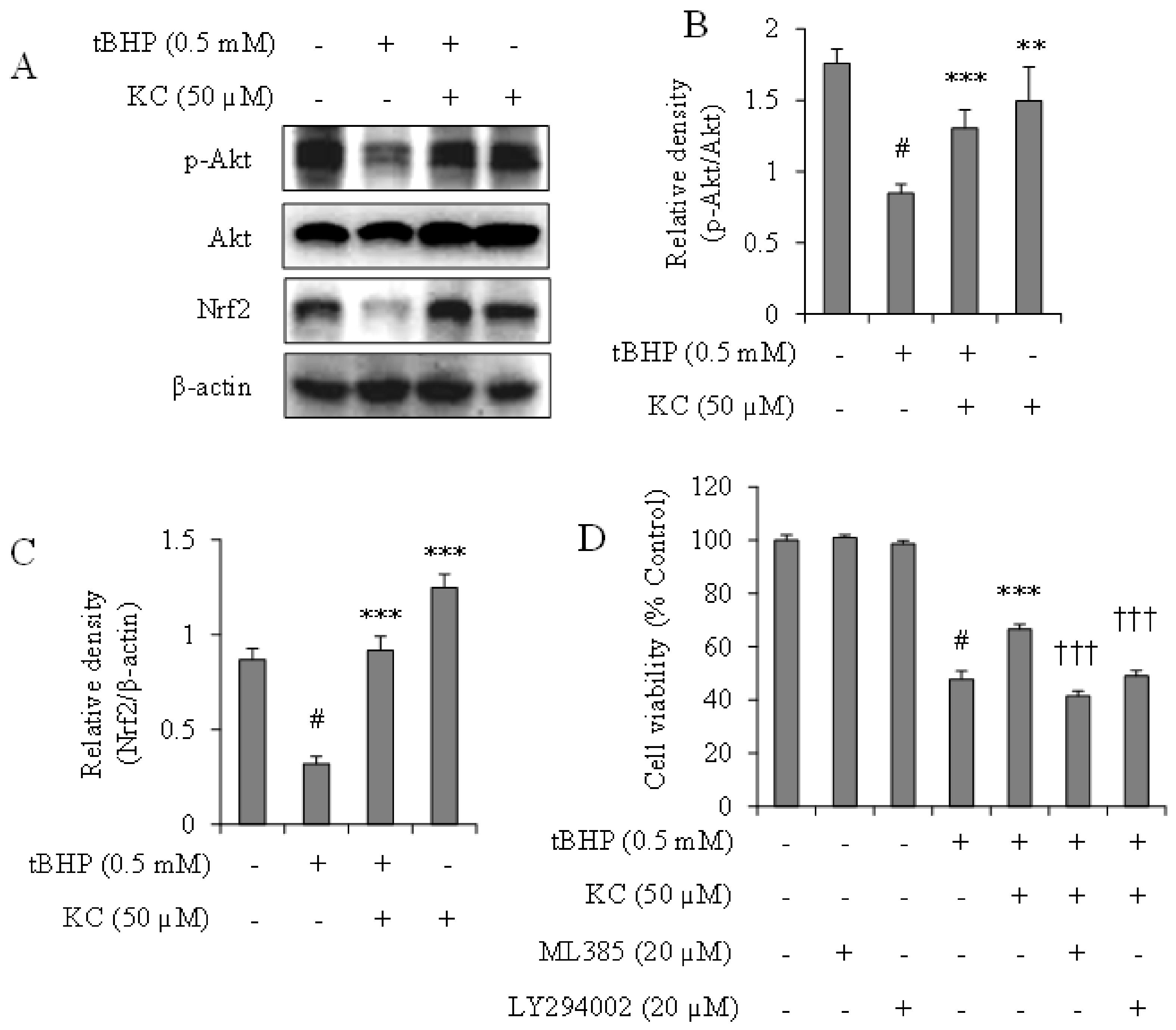 Molecules 26 01635 g004