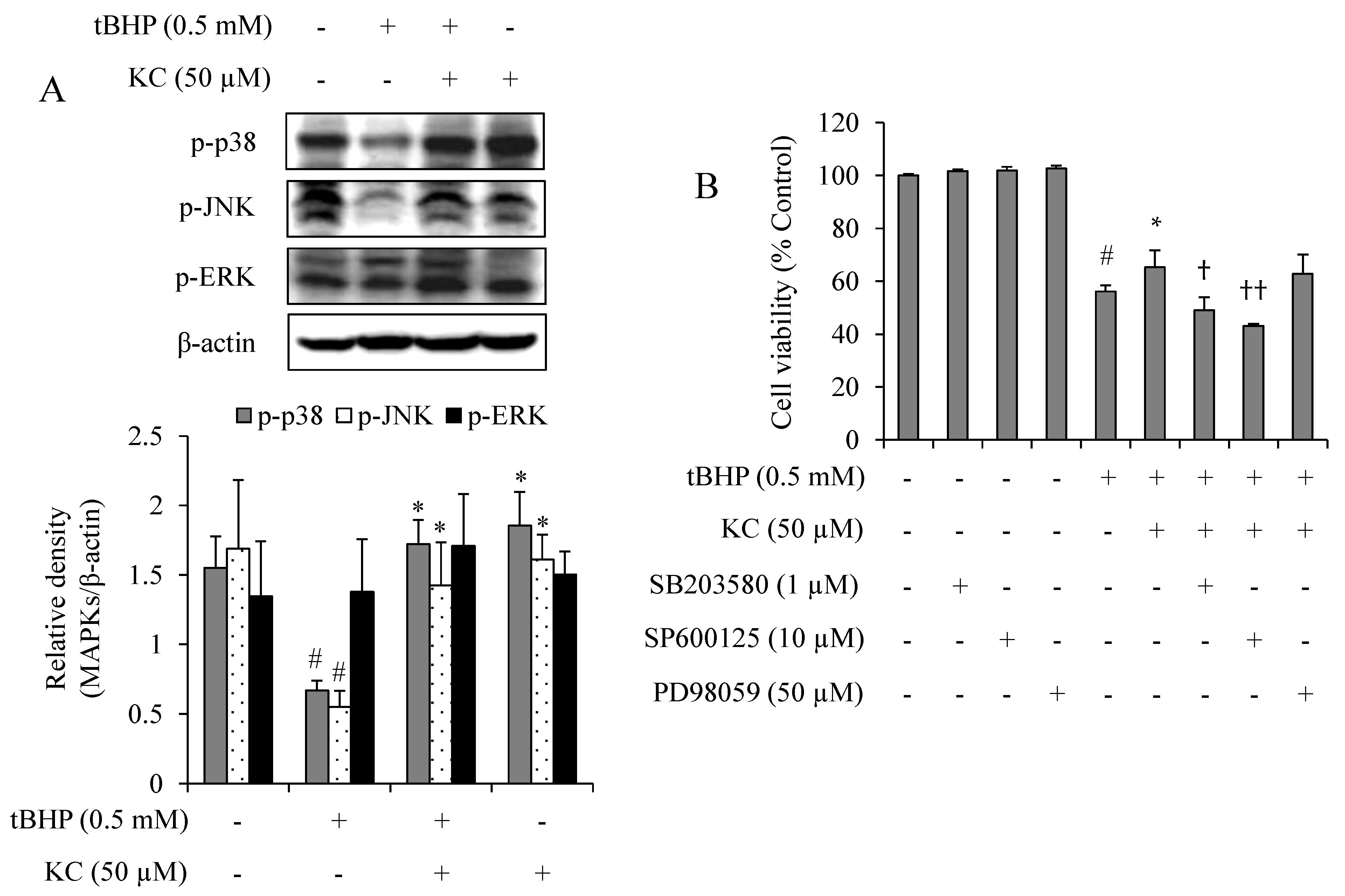 Molecules 26 01635 g005