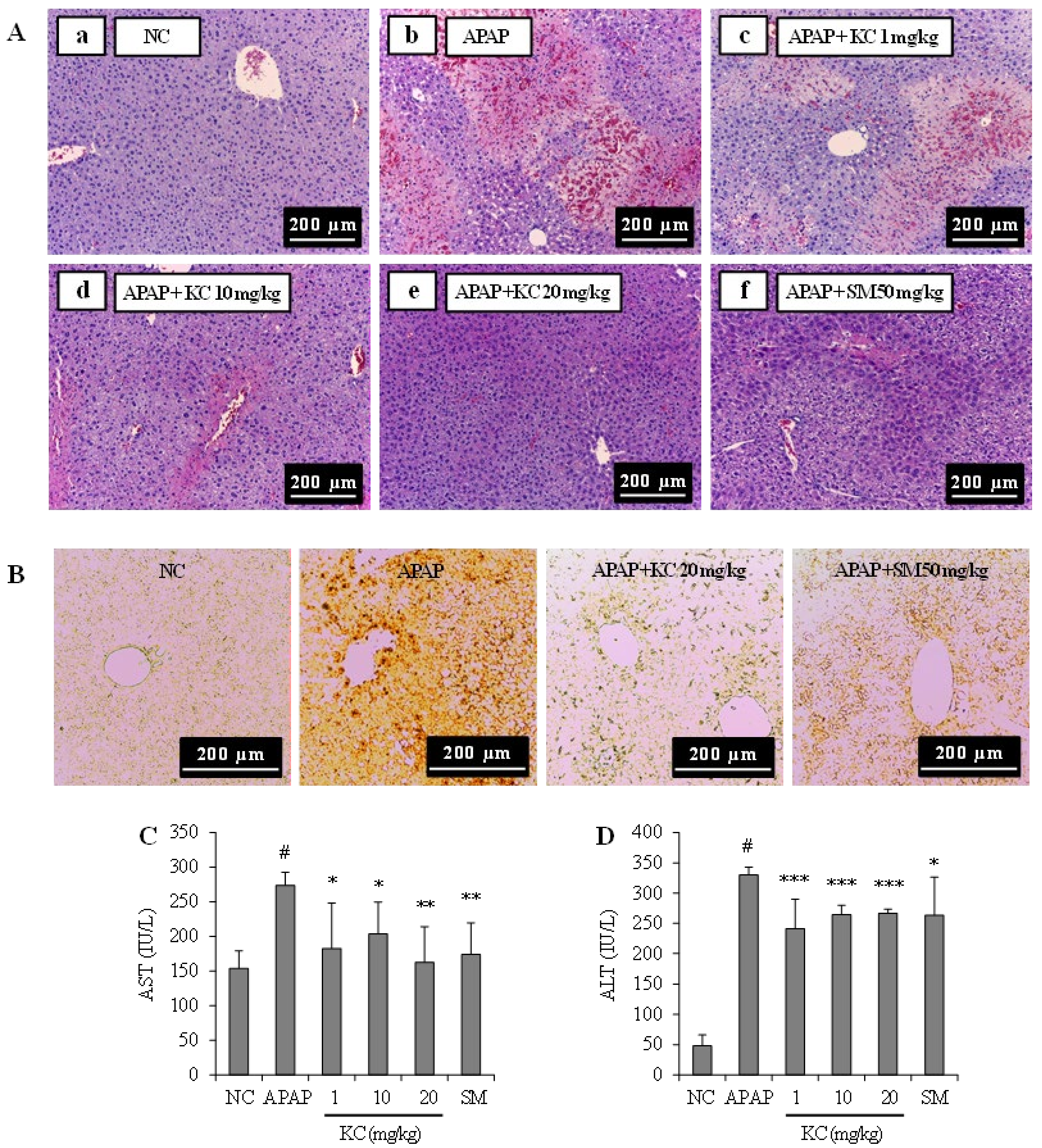 Molecules 26 01635 g006
