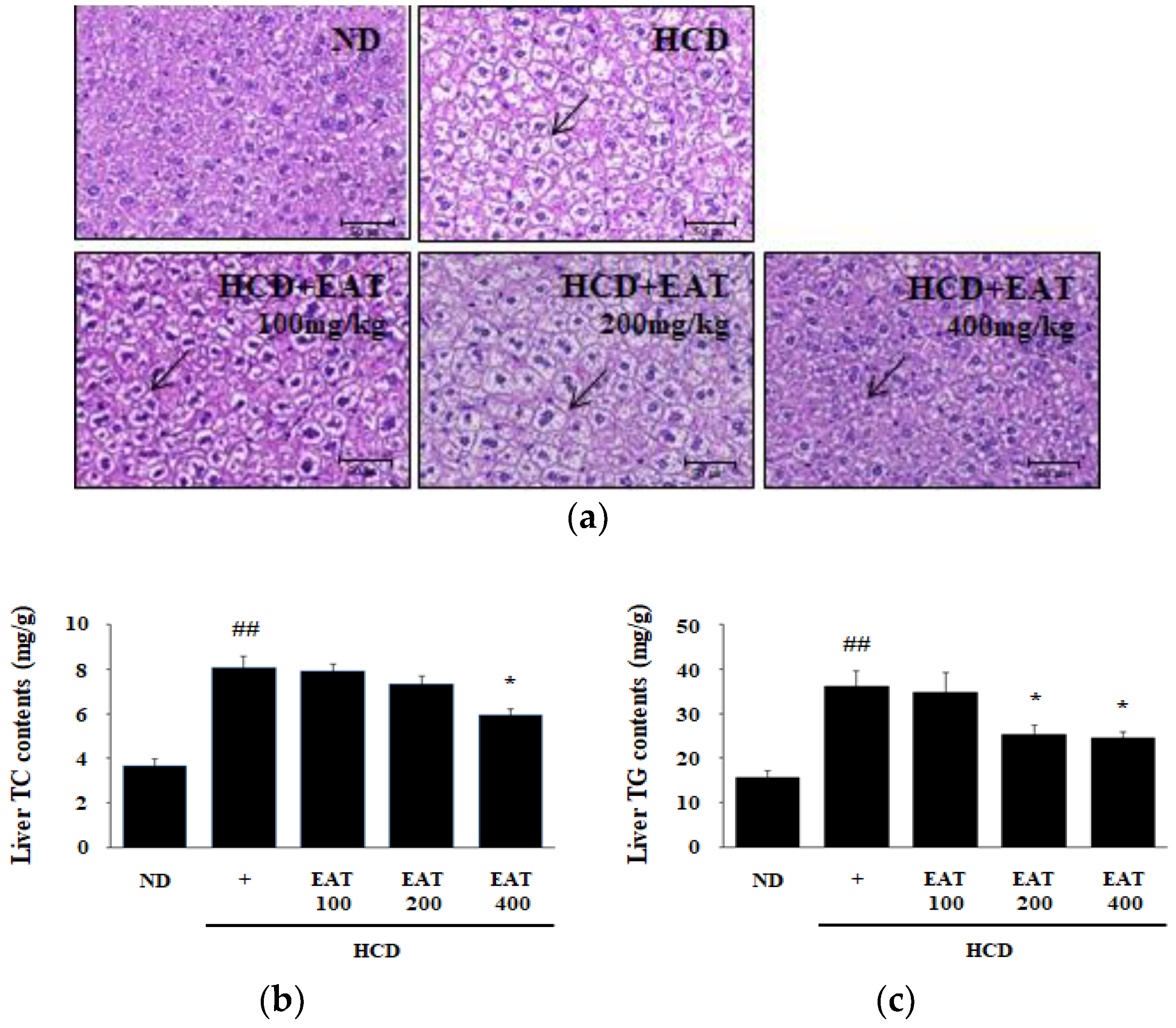 Molecules 26 01638 g004