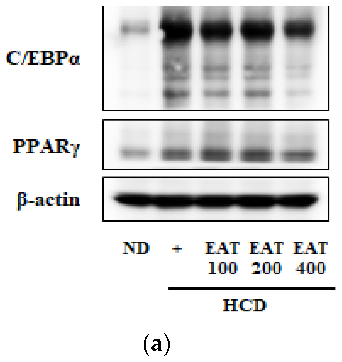 Molecules 26 01638 g005a