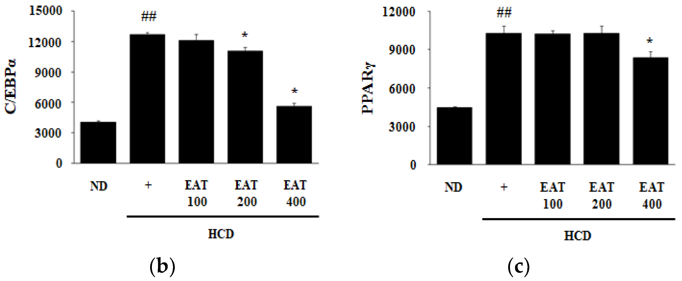 Molecules 26 01638 g005b