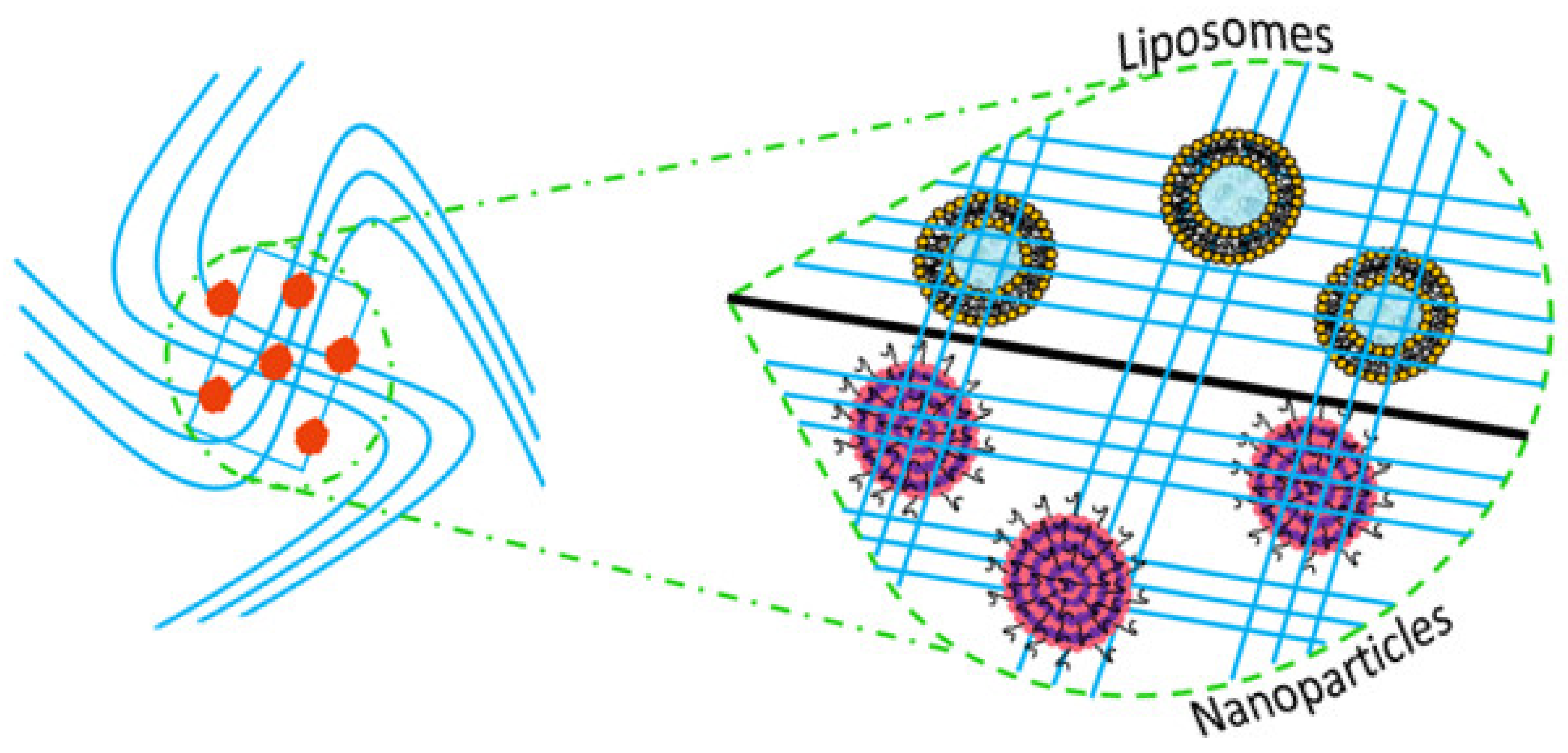 Molecules 26 01643 g003
