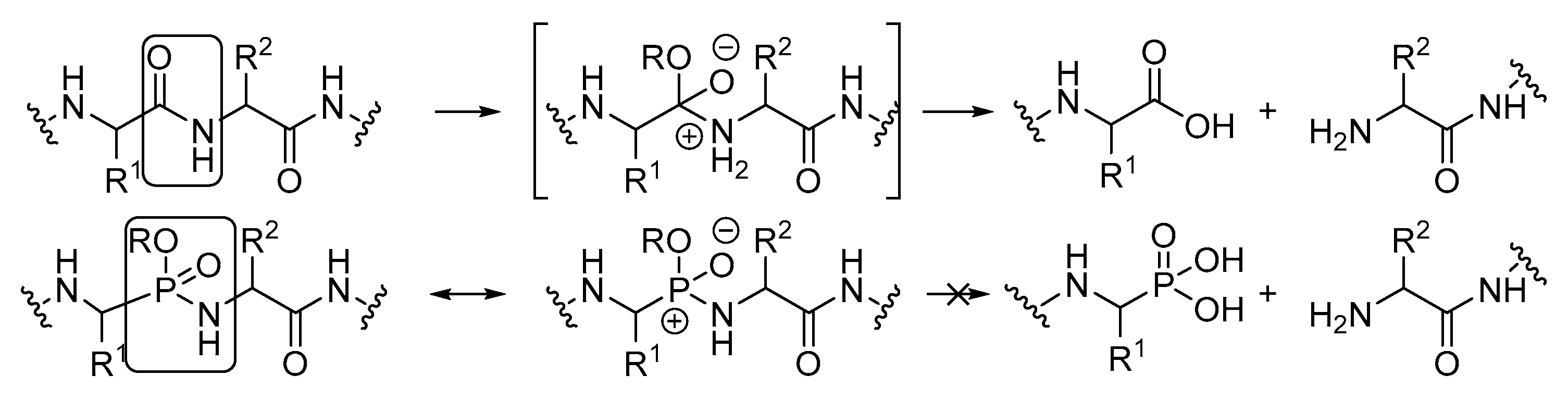 Molecules 26 01654 g001