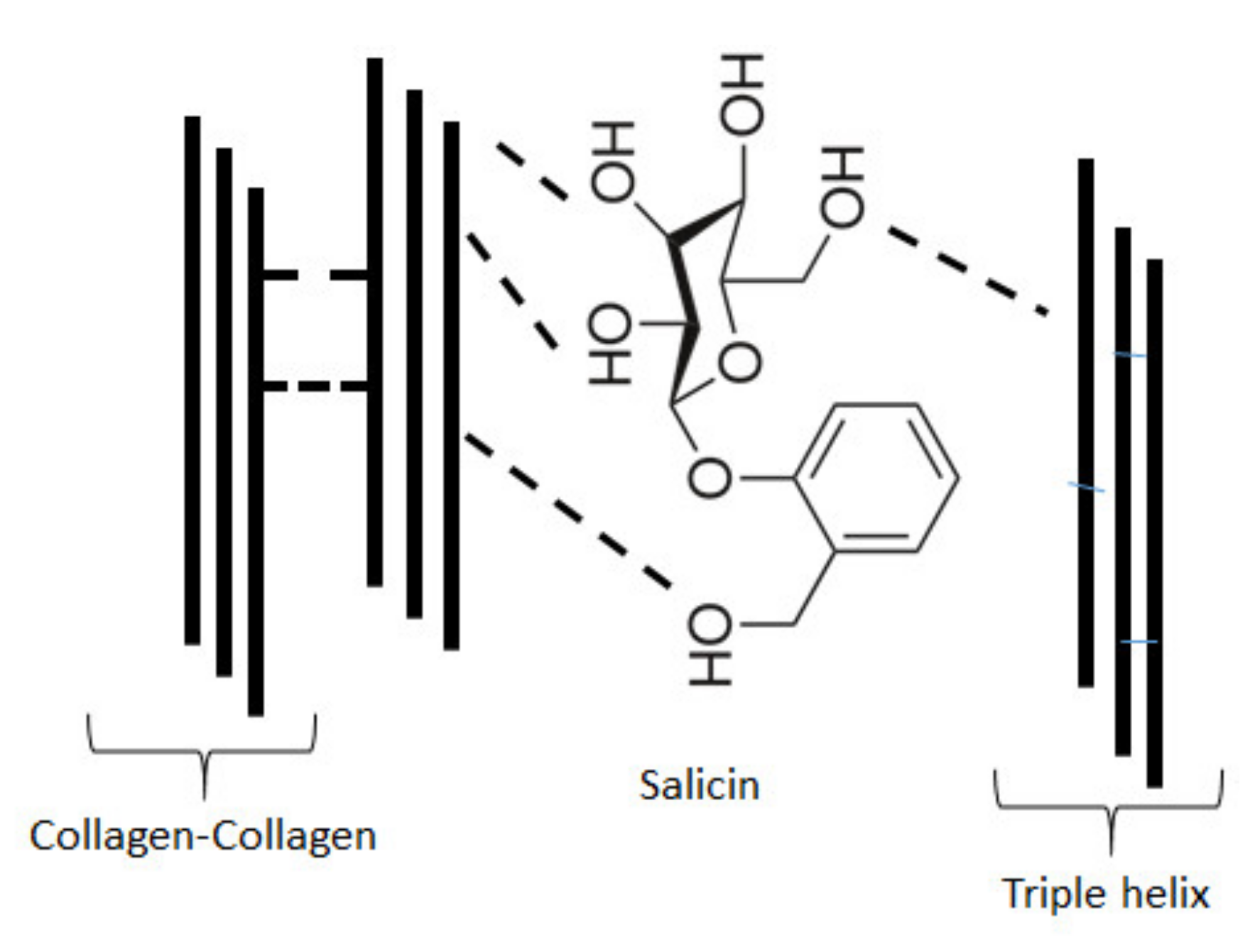Molecules 26 01661 g008
