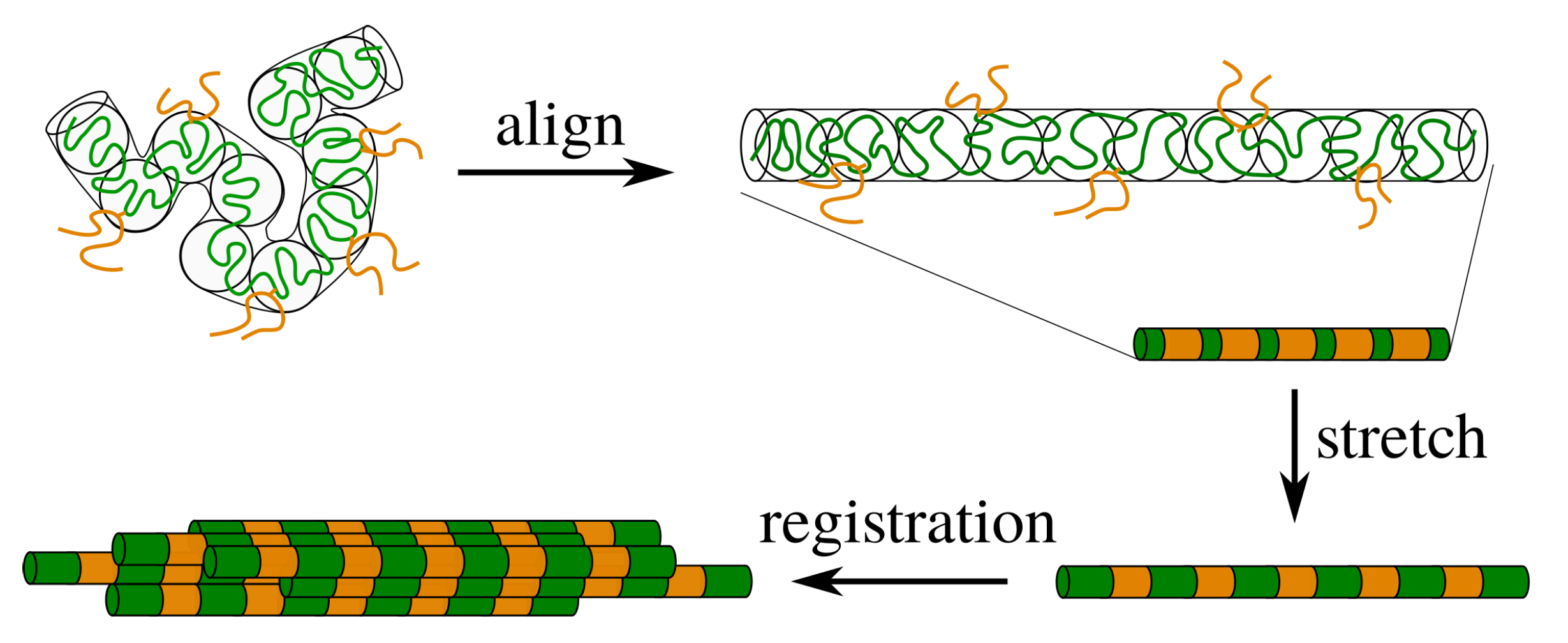 Molecules 26 01663 g001