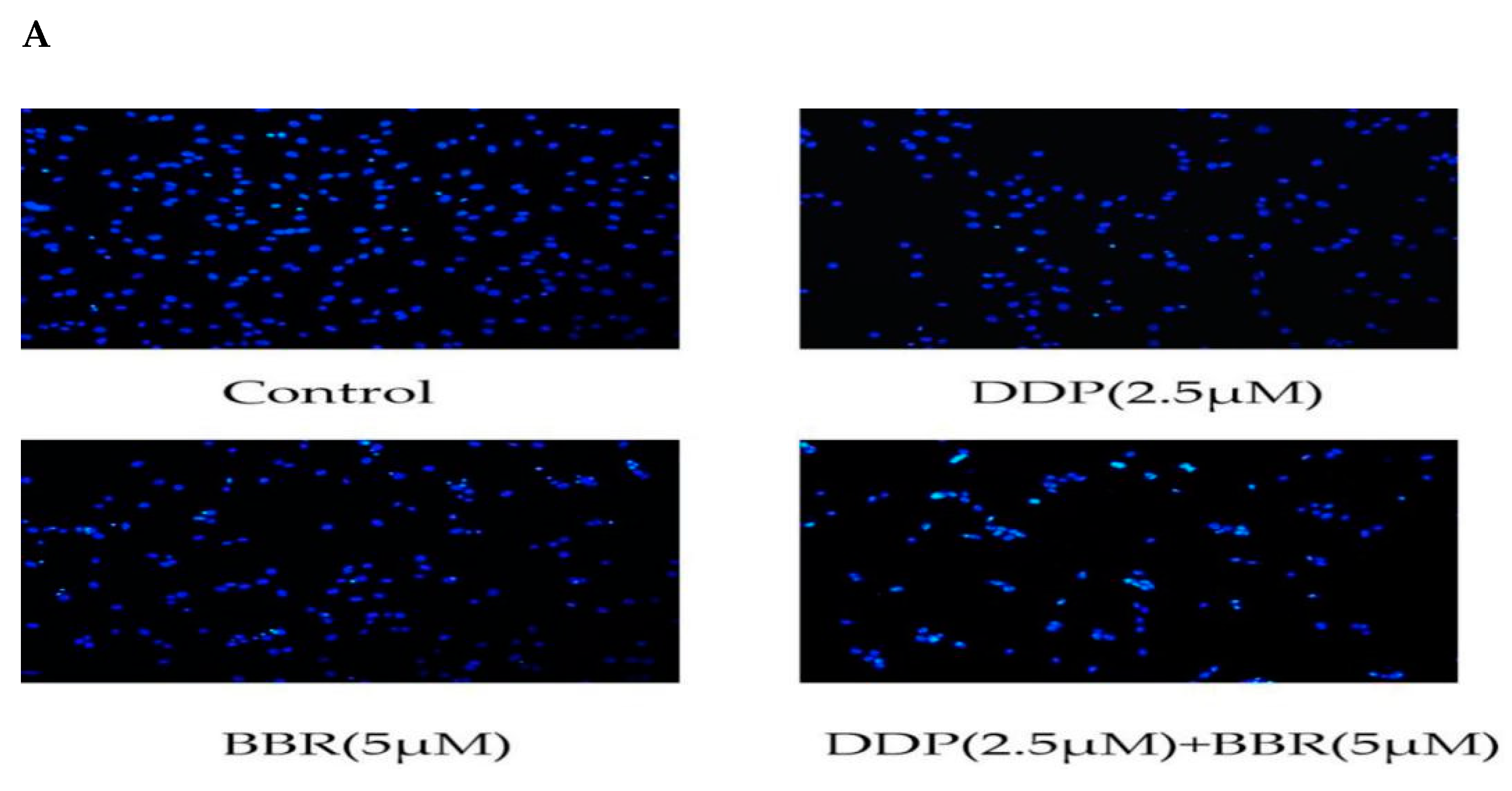 Molecules 26 01666 g004a Molecules 26 01666 g004a