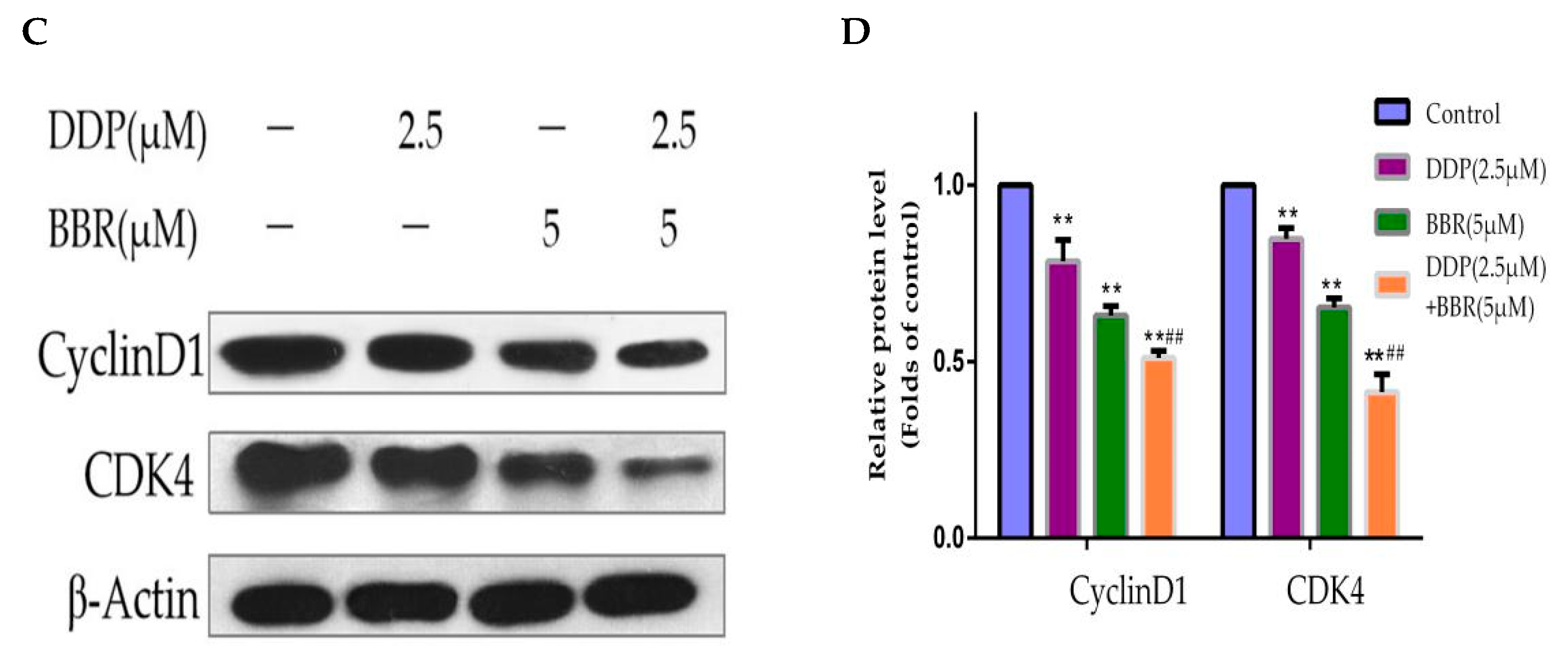 Molecules 26 01666 g005b Molecules 26 01666 g005b