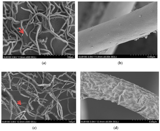 Growth Restriction of Rhizoctonia solani via Breakage of