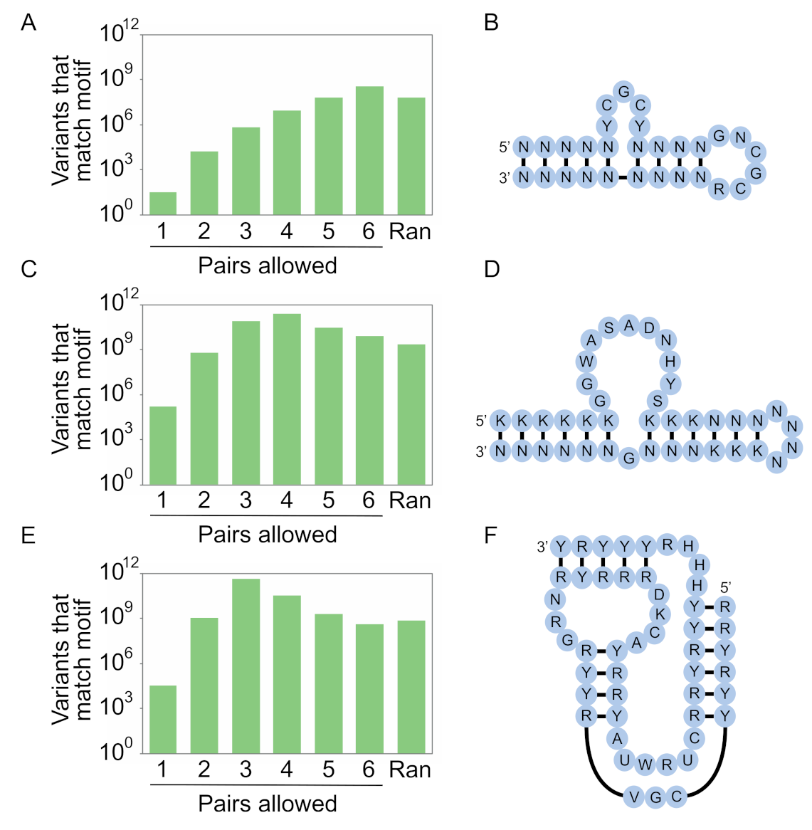 Molecules 26 01671 g007