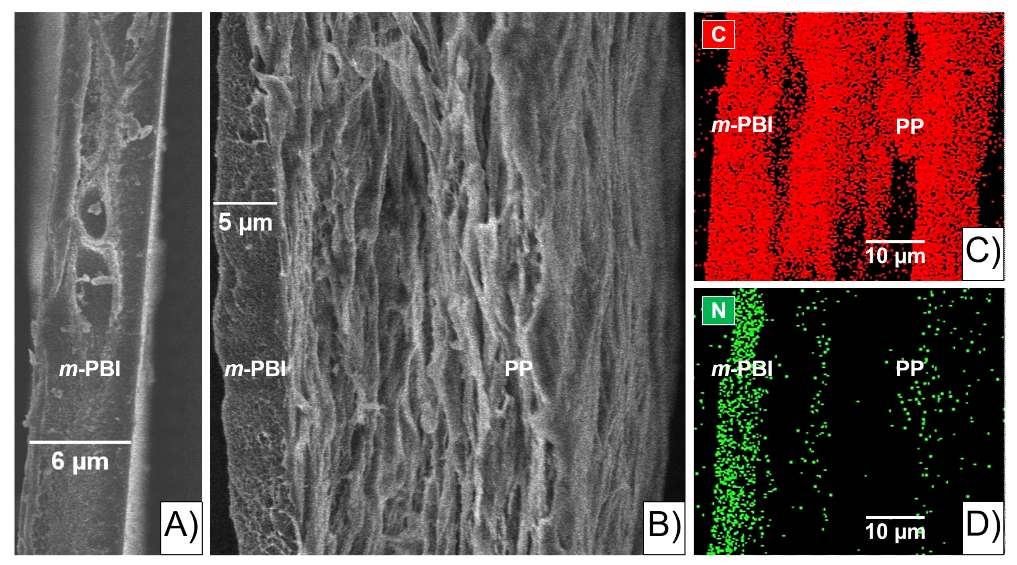 Molecules 26 01679 g001