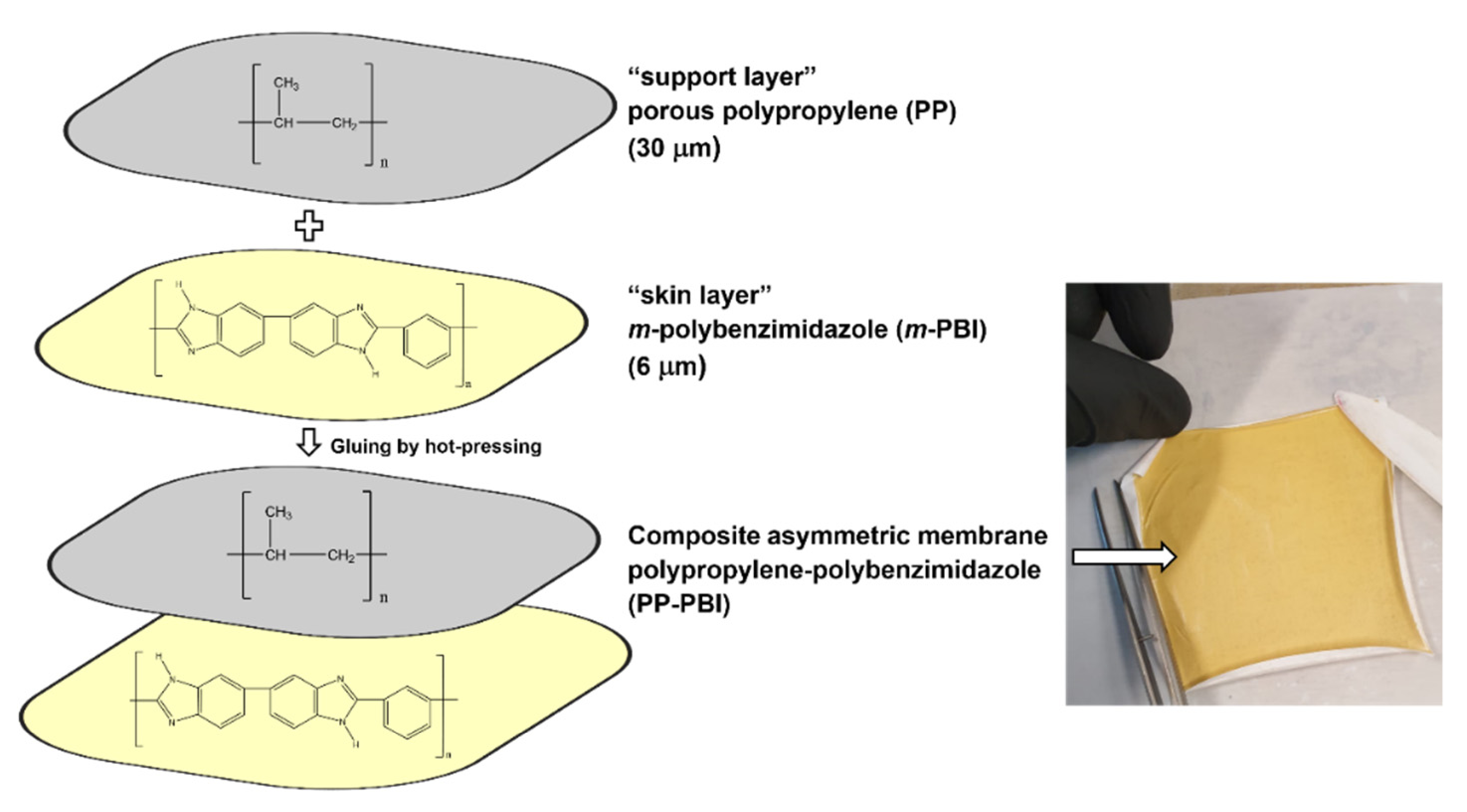 Molecules 26 01679 g002