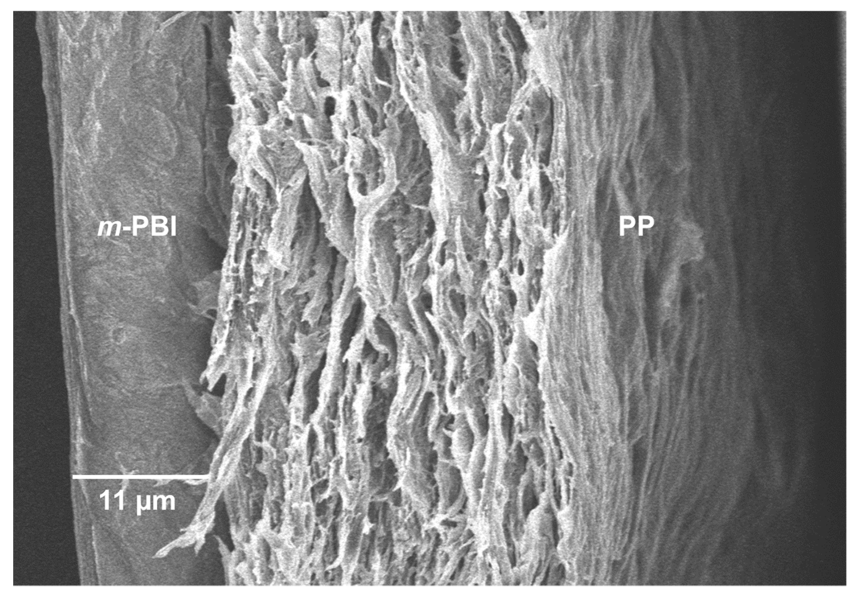 Molecules 26 01679 g007