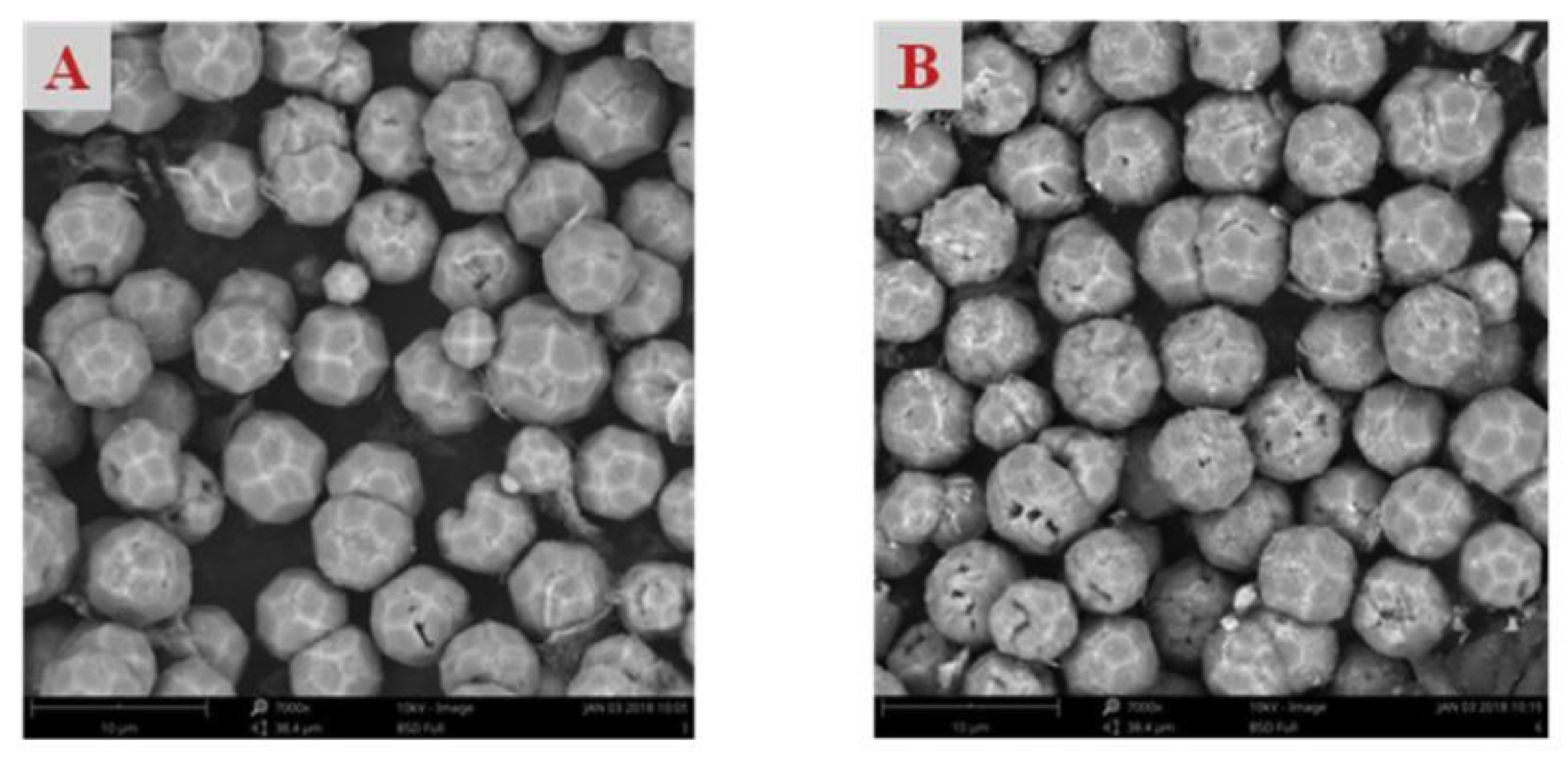 Molecules 26 01680 g011