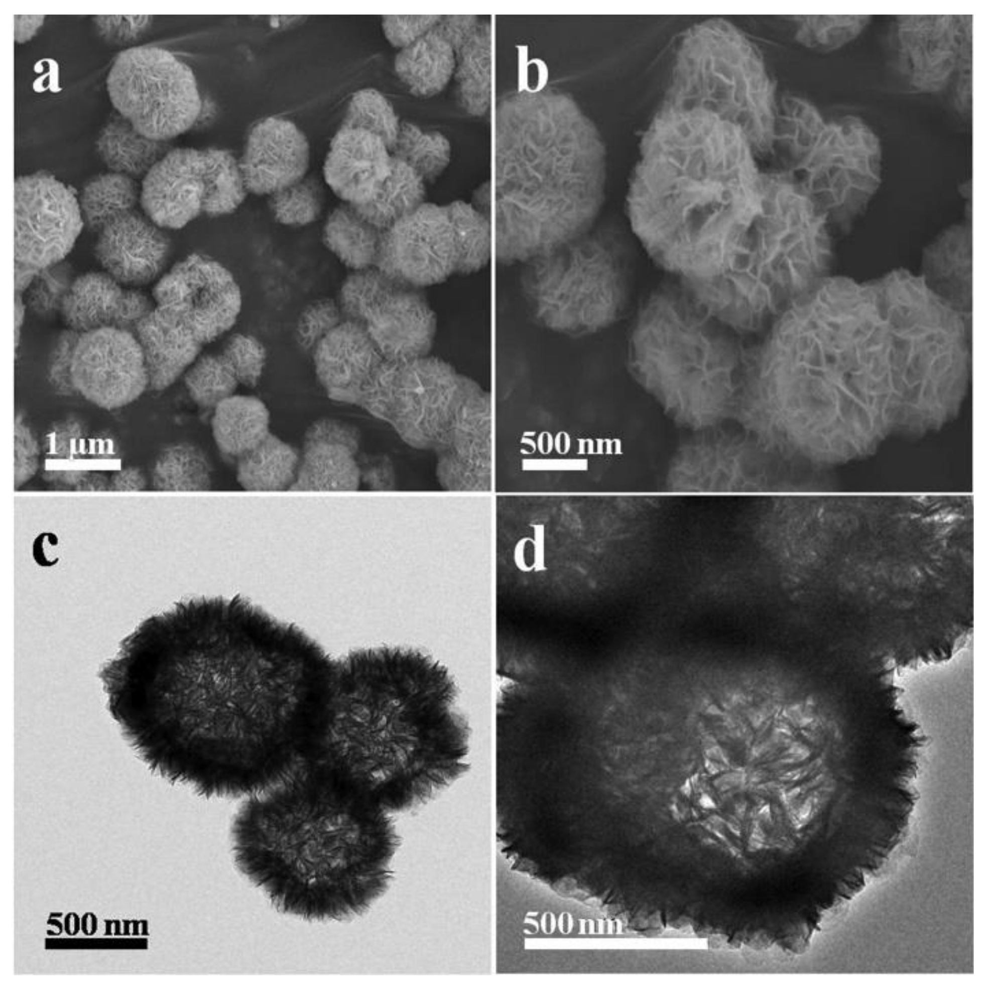 Molecules 26 01680 g019