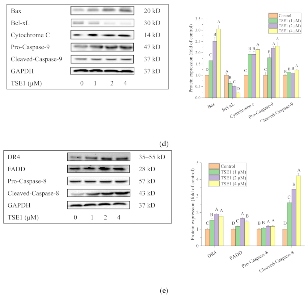 Molecules 26 01681 g002b Molecules 26 01681 g002b