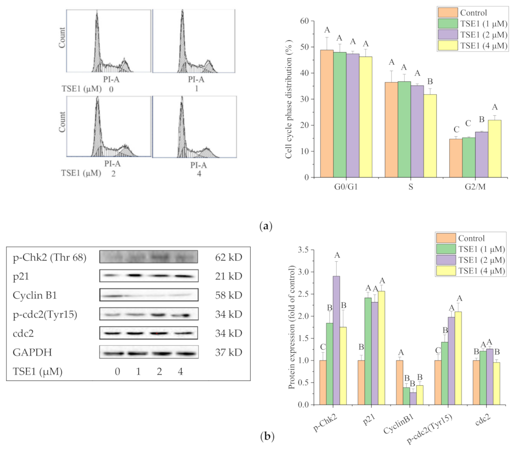 Molecules 26 01681 g003 Molecules 26 01681 g003