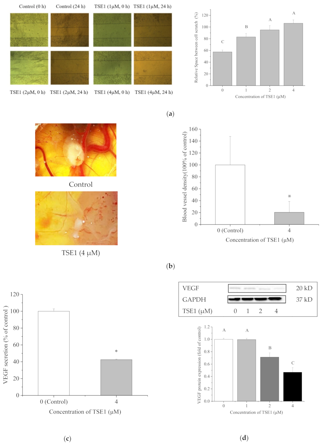 Molecules 26 01681 g004 Molecules 26 01681 g004
