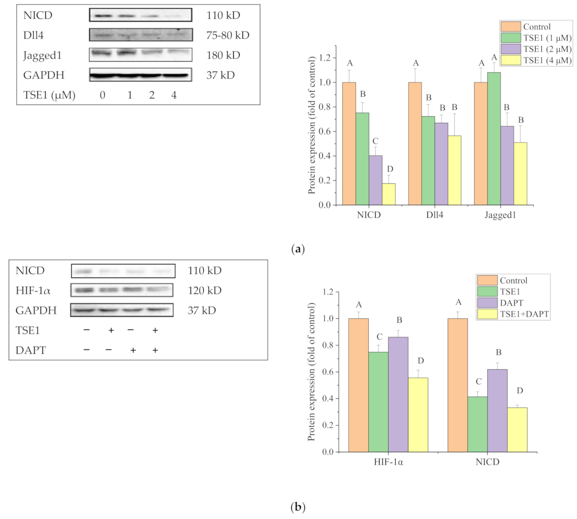 Molecules 26 01681 g006 Molecules 26 01681 g006