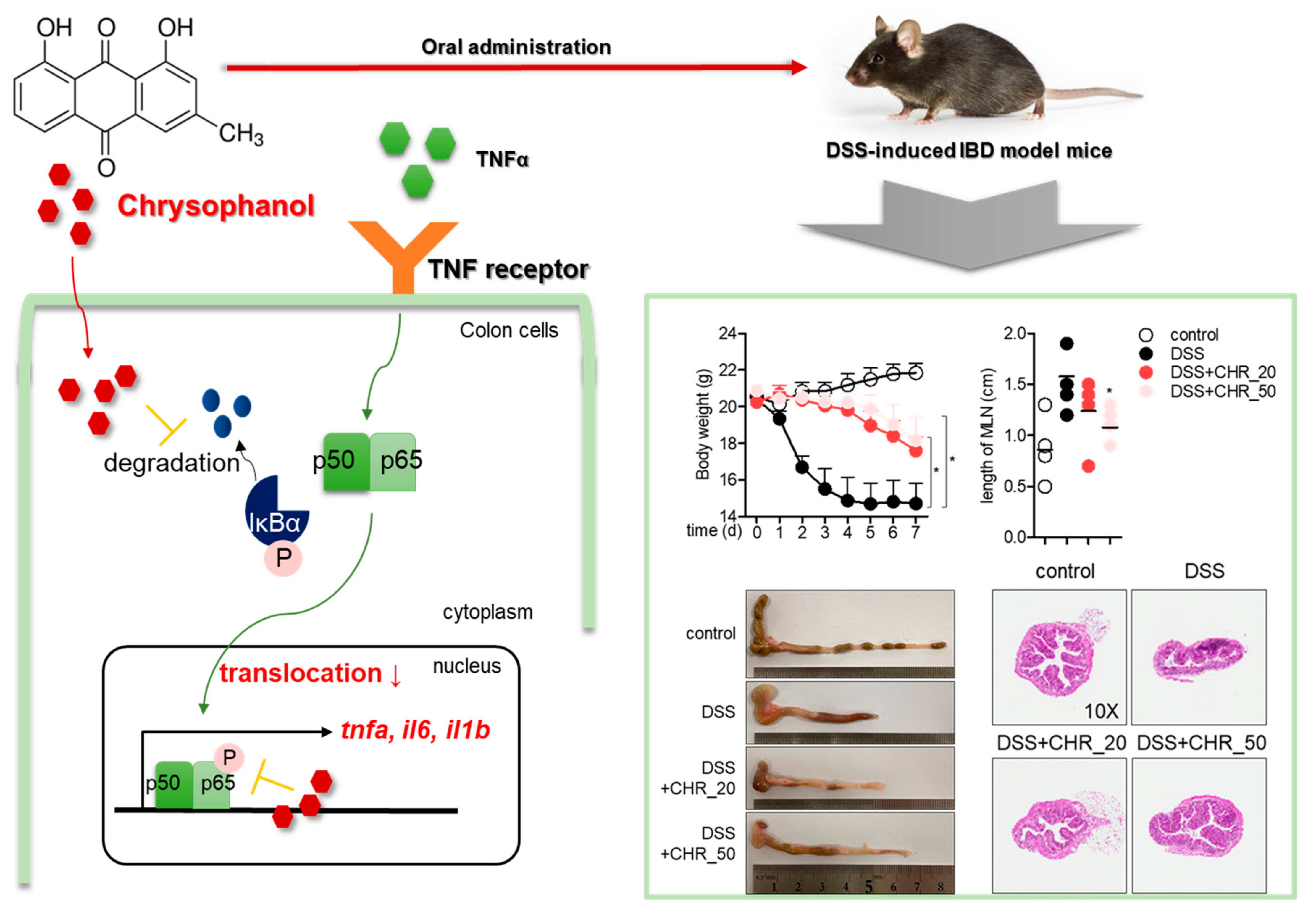 Molecules 26 01682 g007 Molecules 26 01682 g007