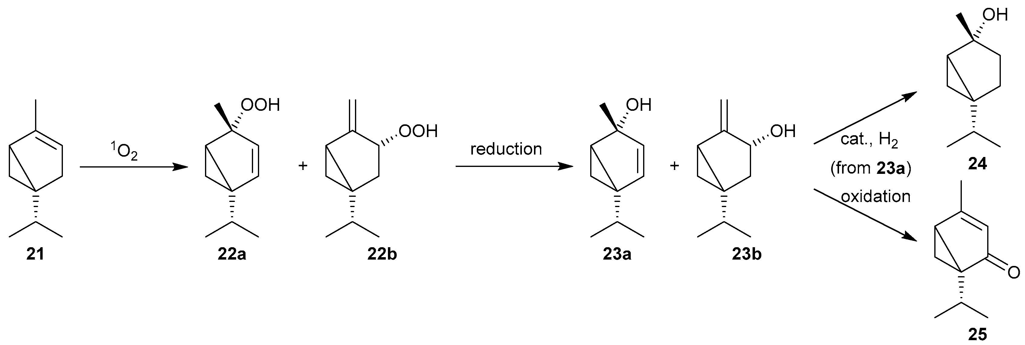 Molecules 26 01685 sch010 Molecules 26 01685 sch010