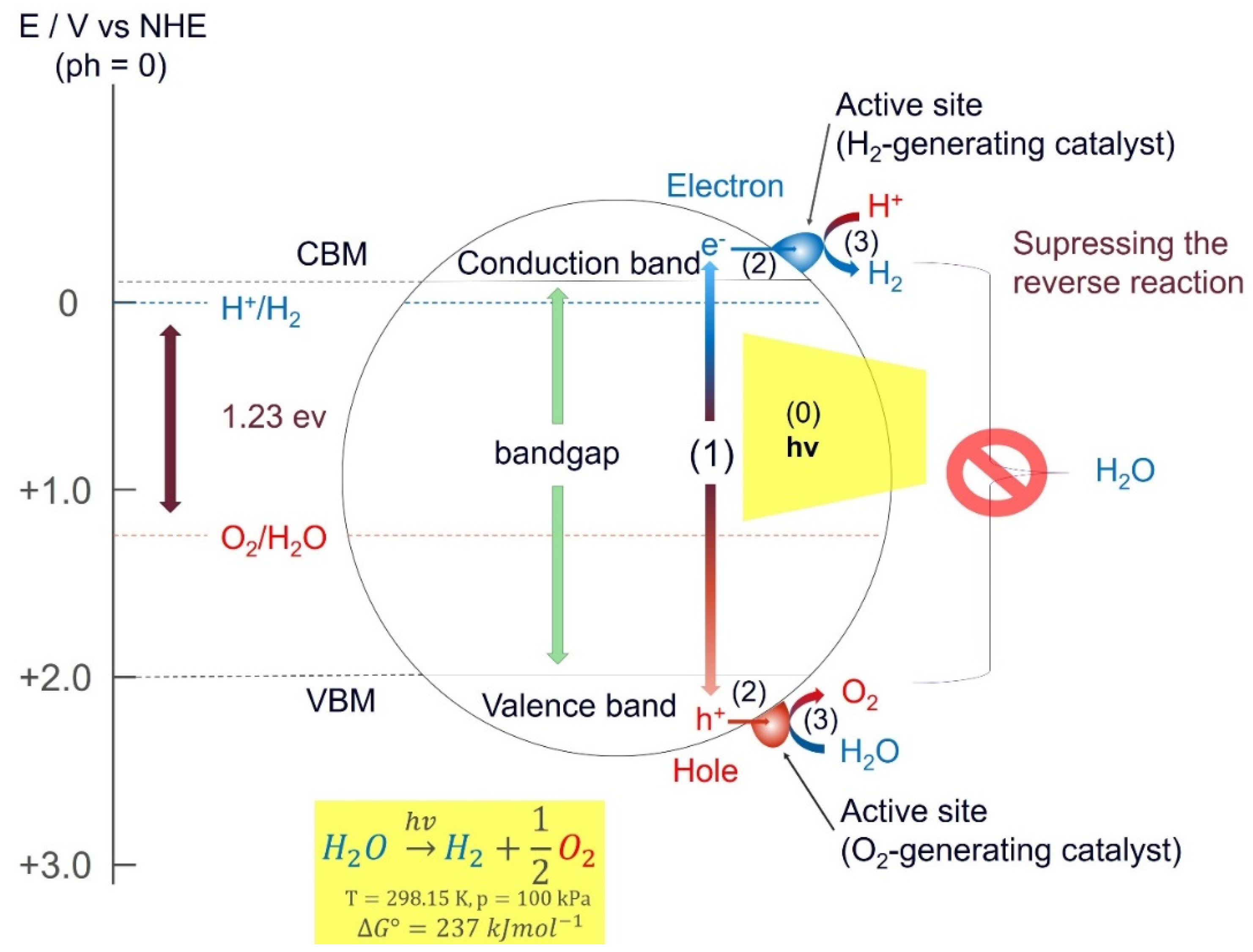 Molecules 26 01687 g003