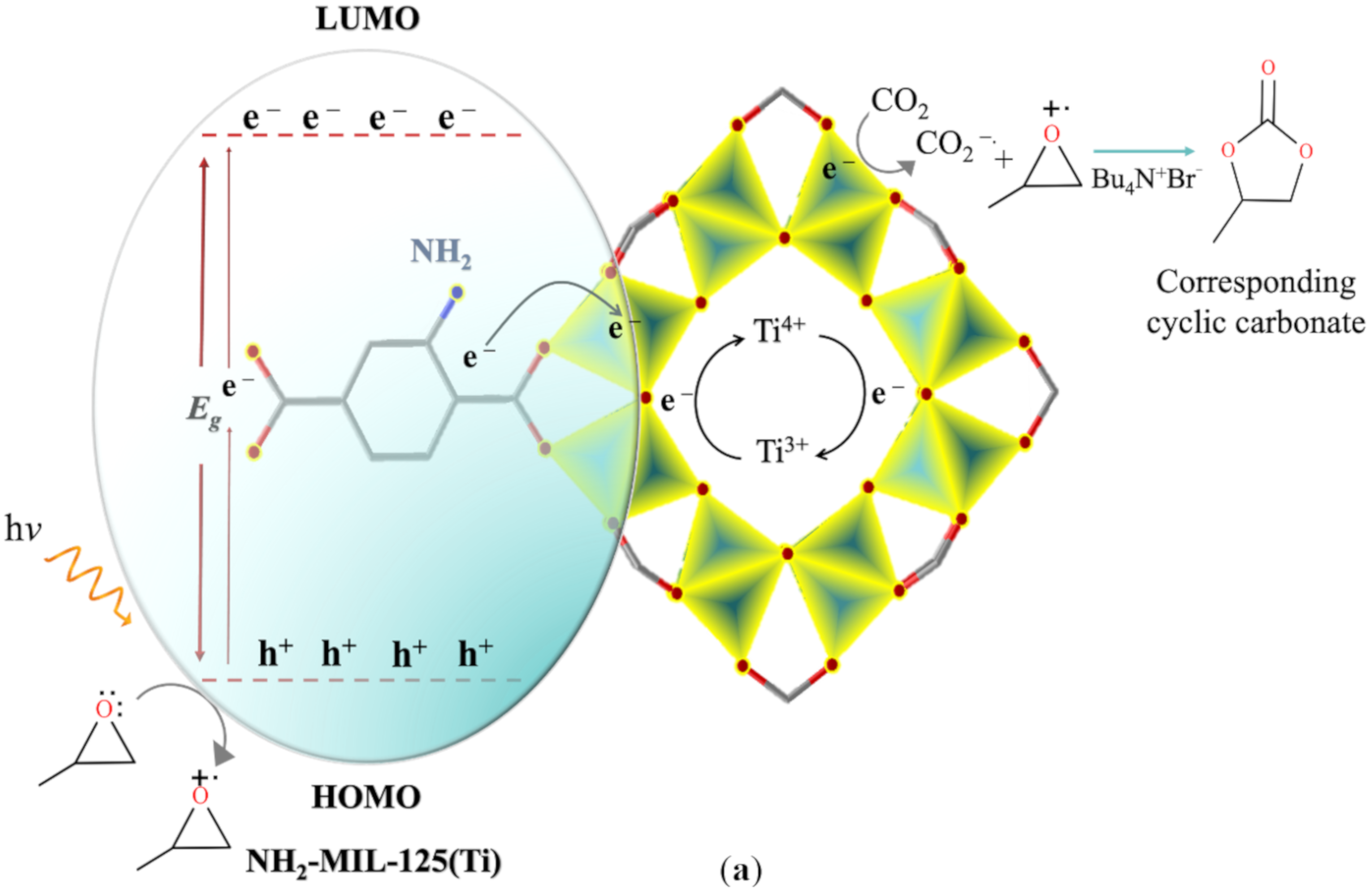 Molecules 26 01693 g007a Molecules 26 01693 g007a