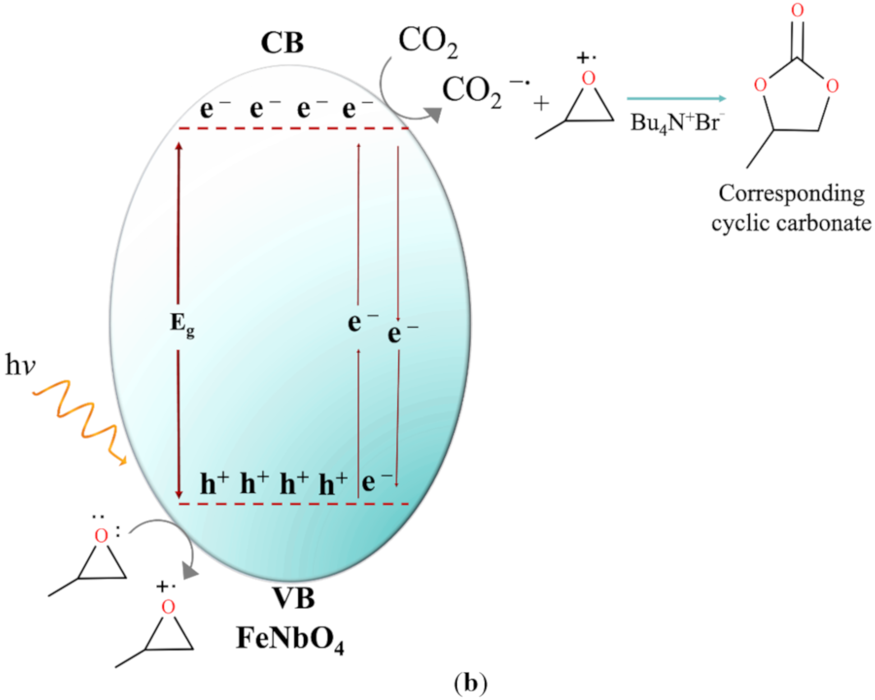 Molecules 26 01693 g007b Molecules 26 01693 g007b