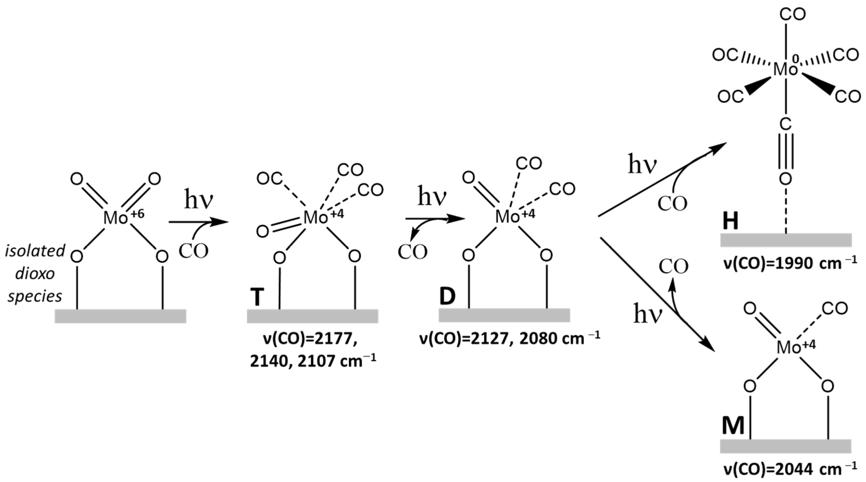 Molecules 26 01700 g001
