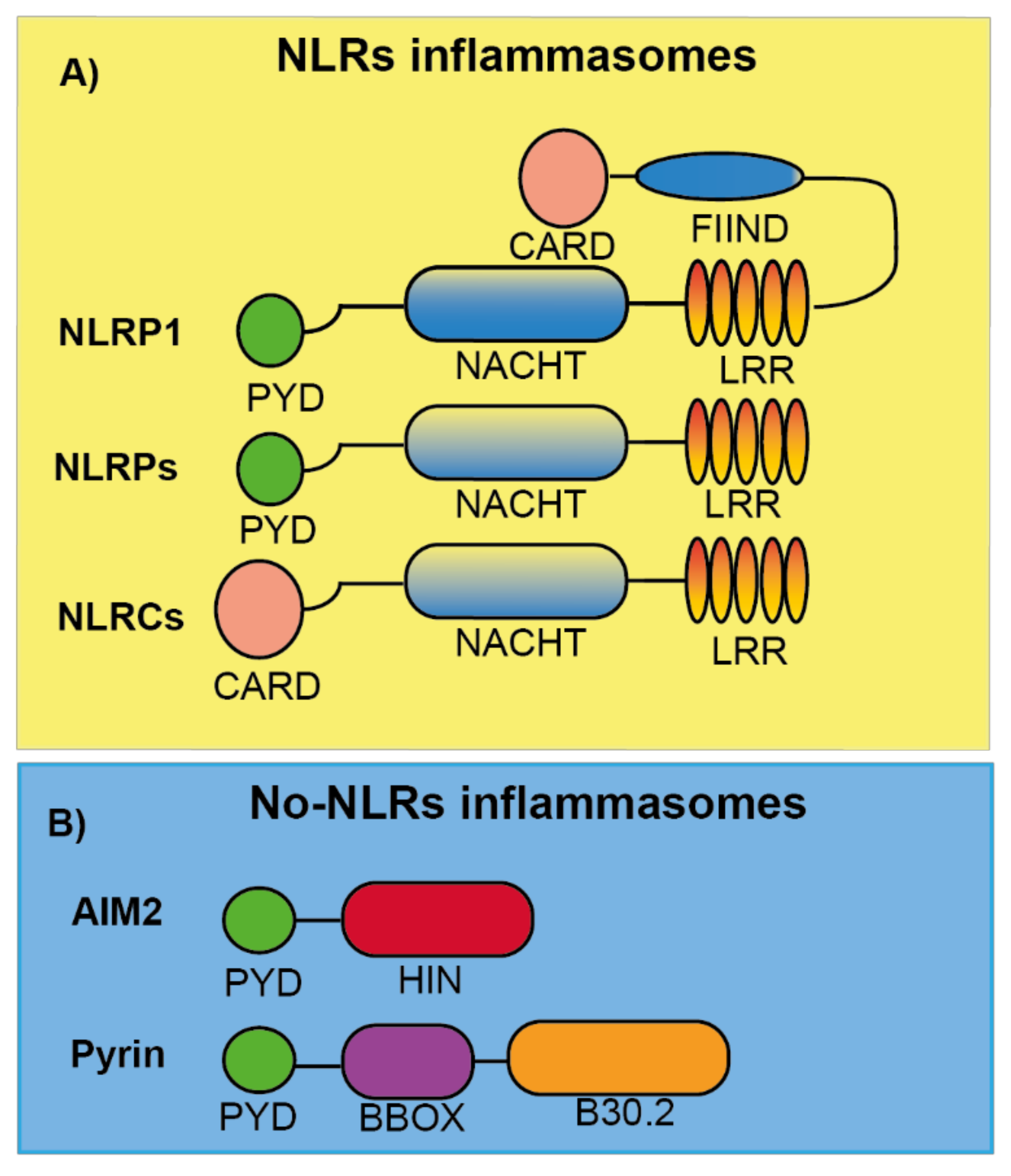 Therapeutic modulation of inflammasome pathways - Chauhan - 2020