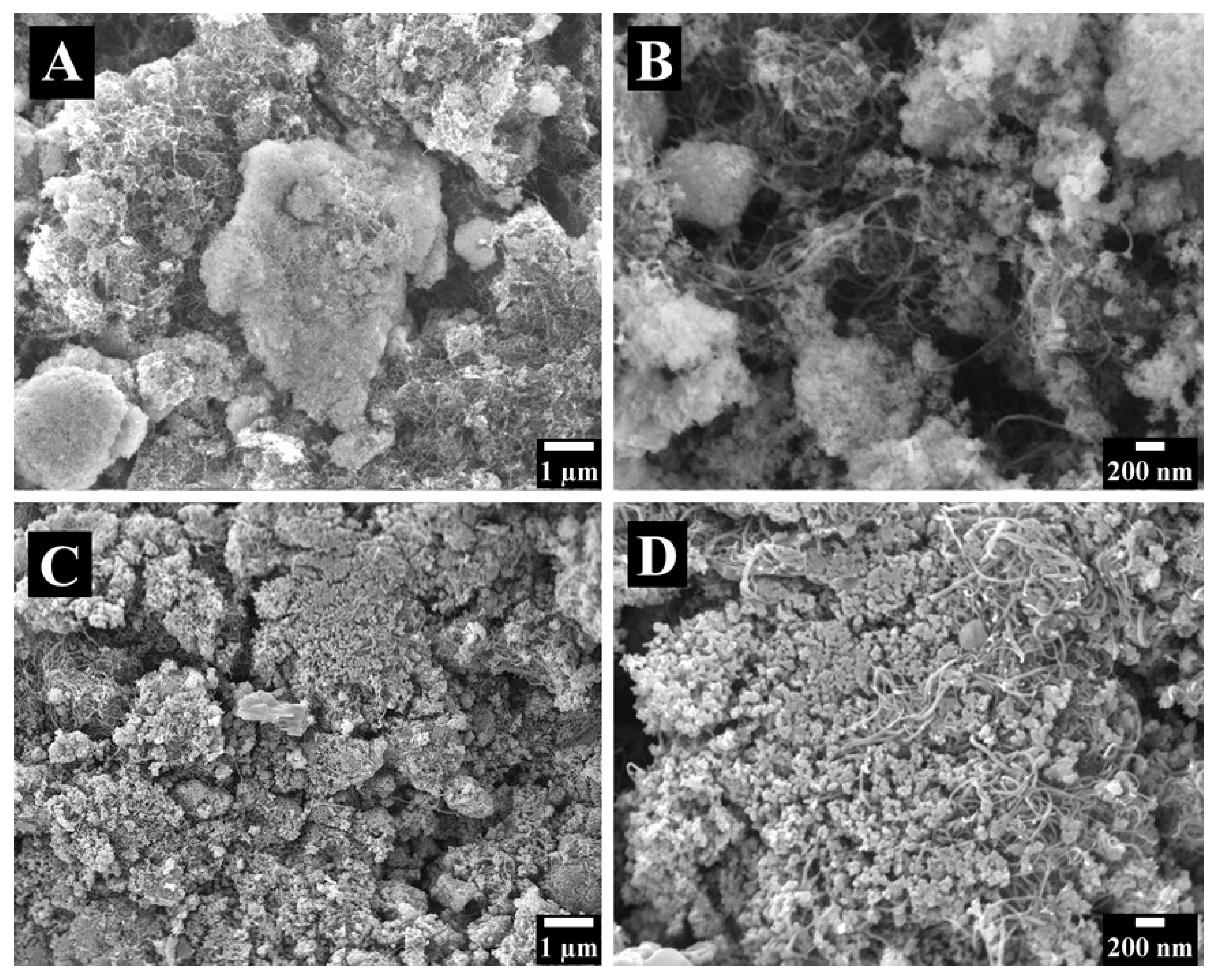 Molecules 26 01709 g004