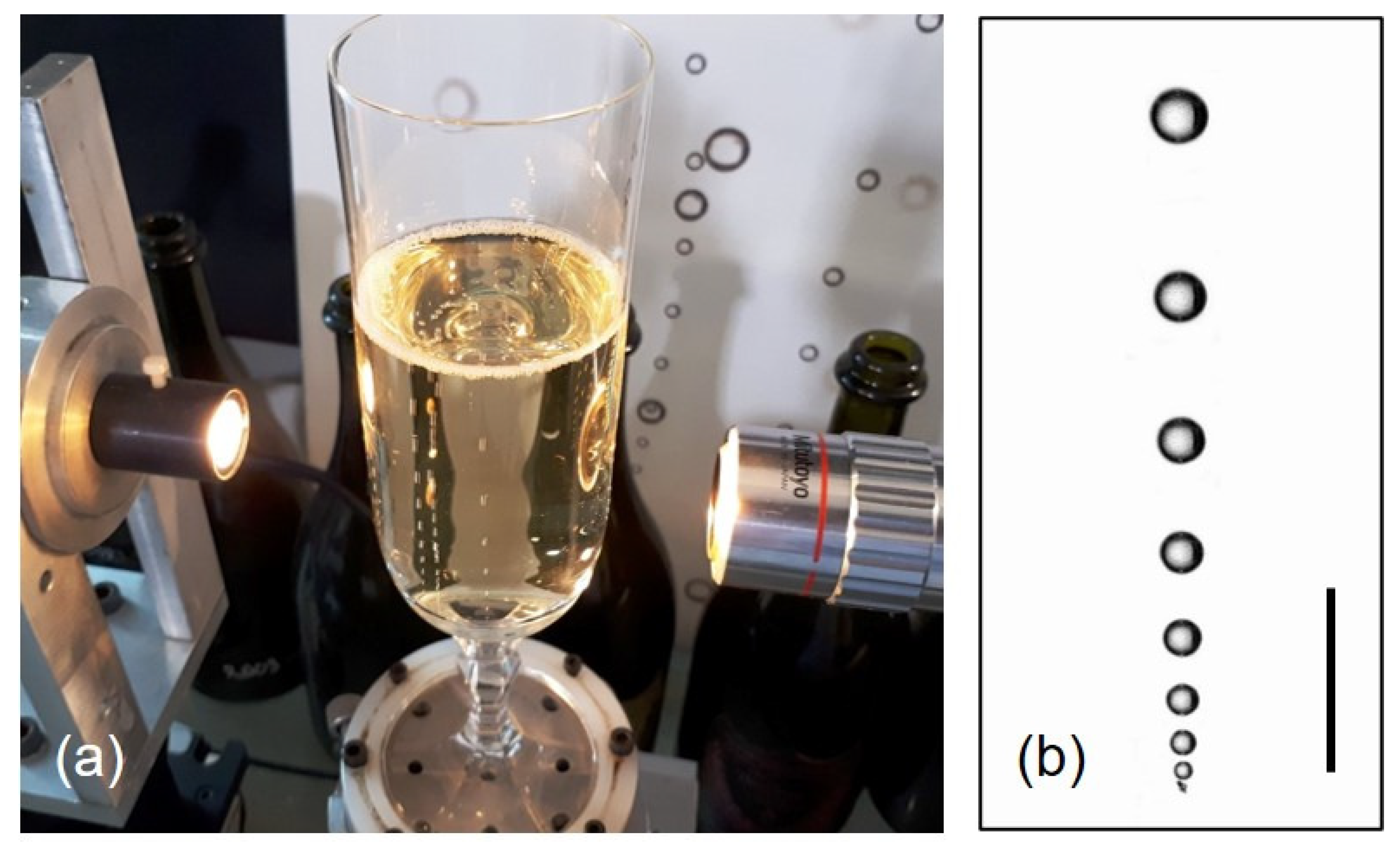 Molecules 26 01711 g001 Molecules 26 01711 g001