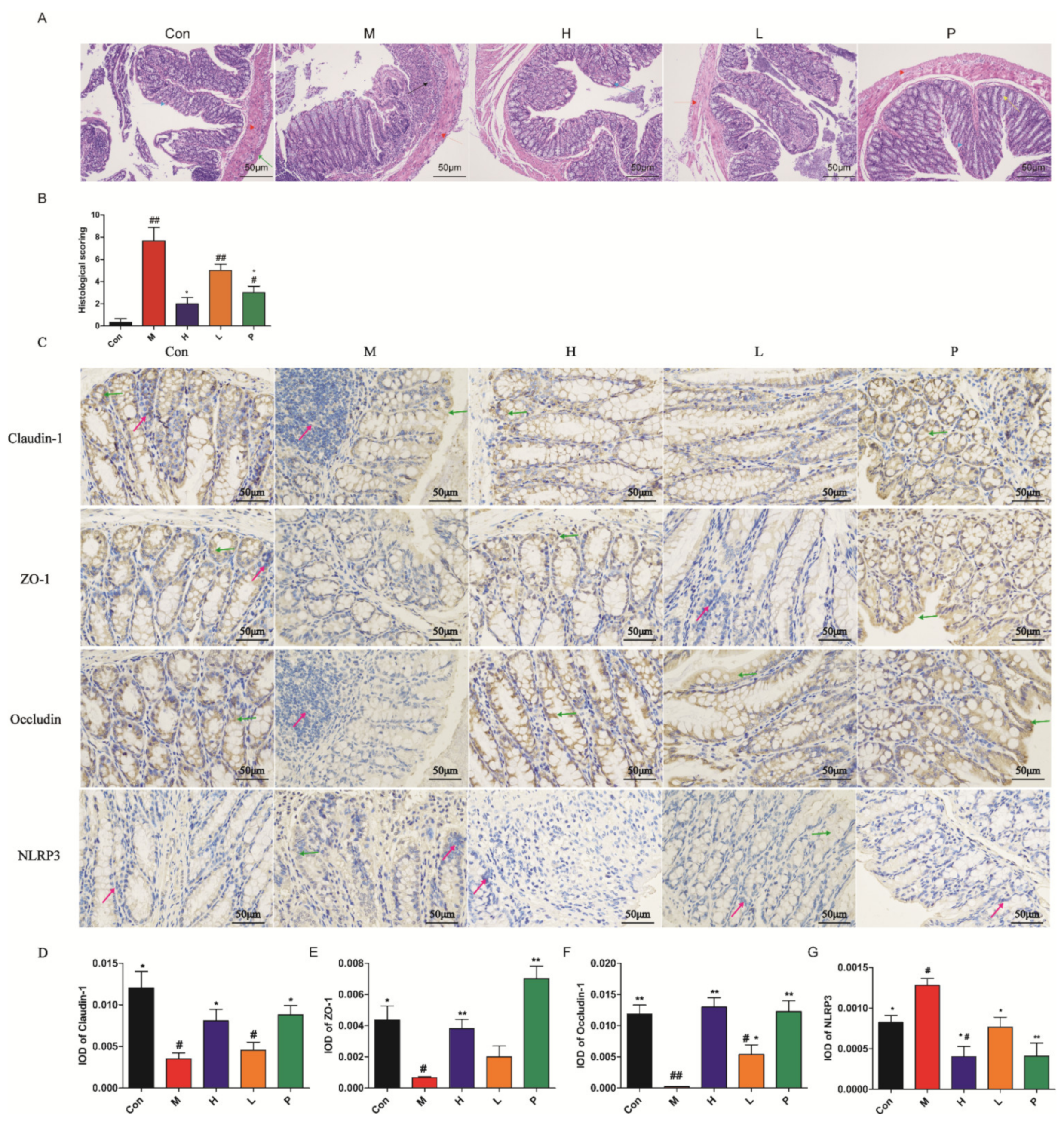 Molecules 26 01718 g006 Molecules 26 01718 g006