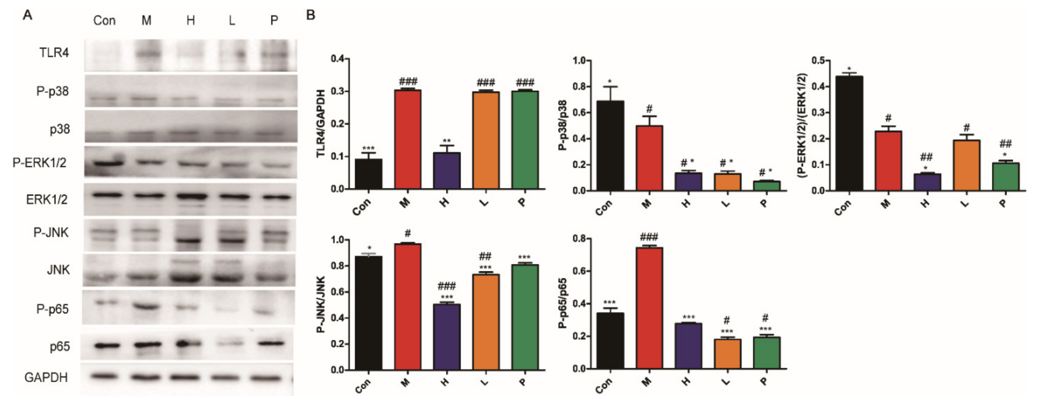 Molecules 26 01718 g008 Molecules 26 01718 g008