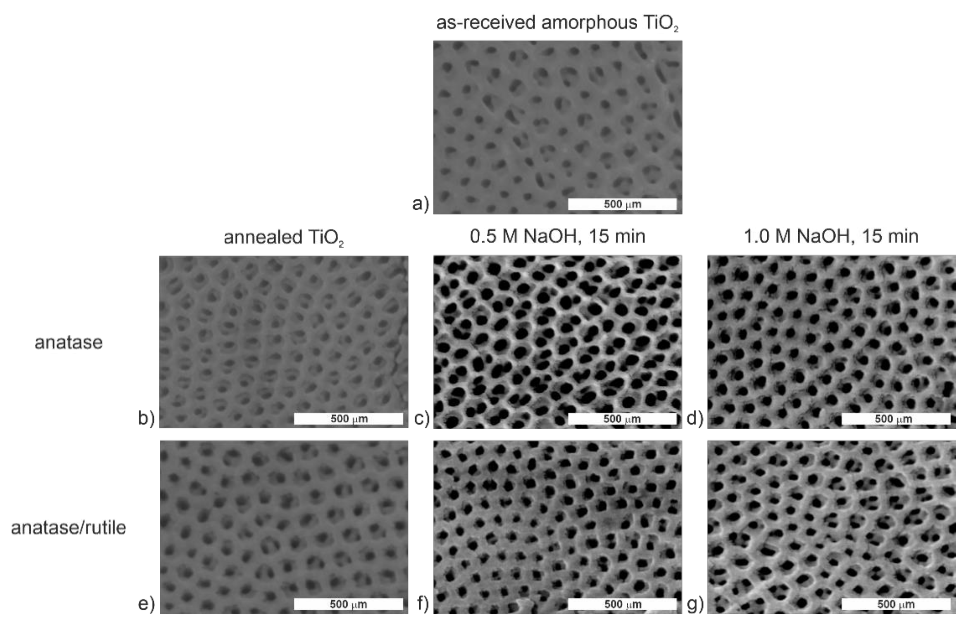 Molecules 26 01723 g001 Molecules 26 01723 g001