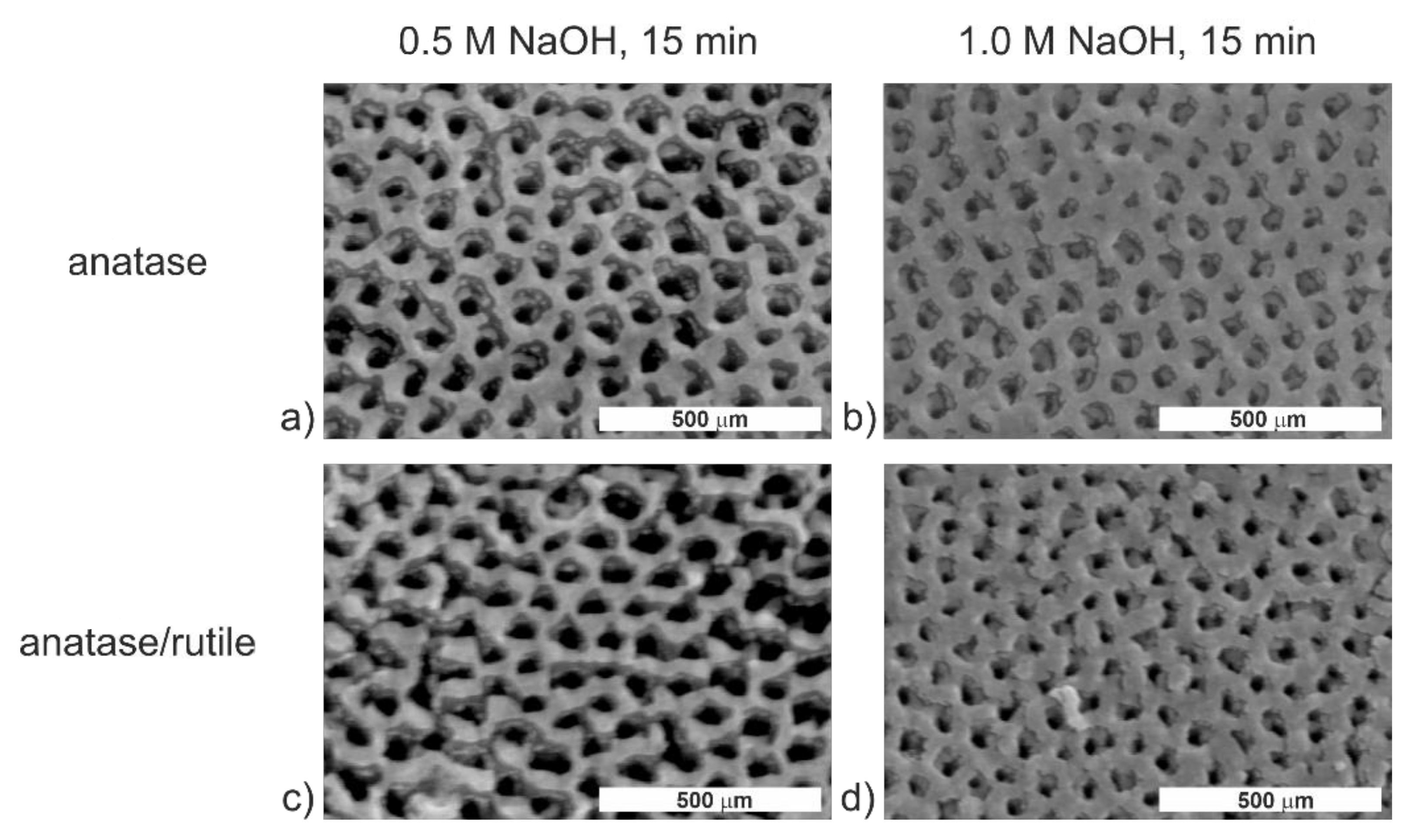 Molecules 26 01723 g002 Molecules 26 01723 g002
