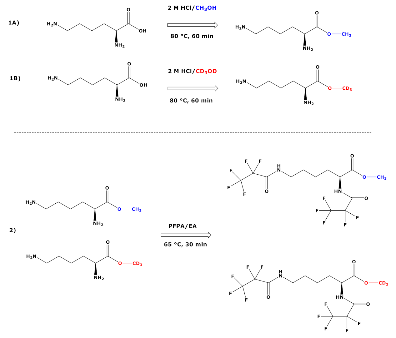 Molecules 26 01726 sch002