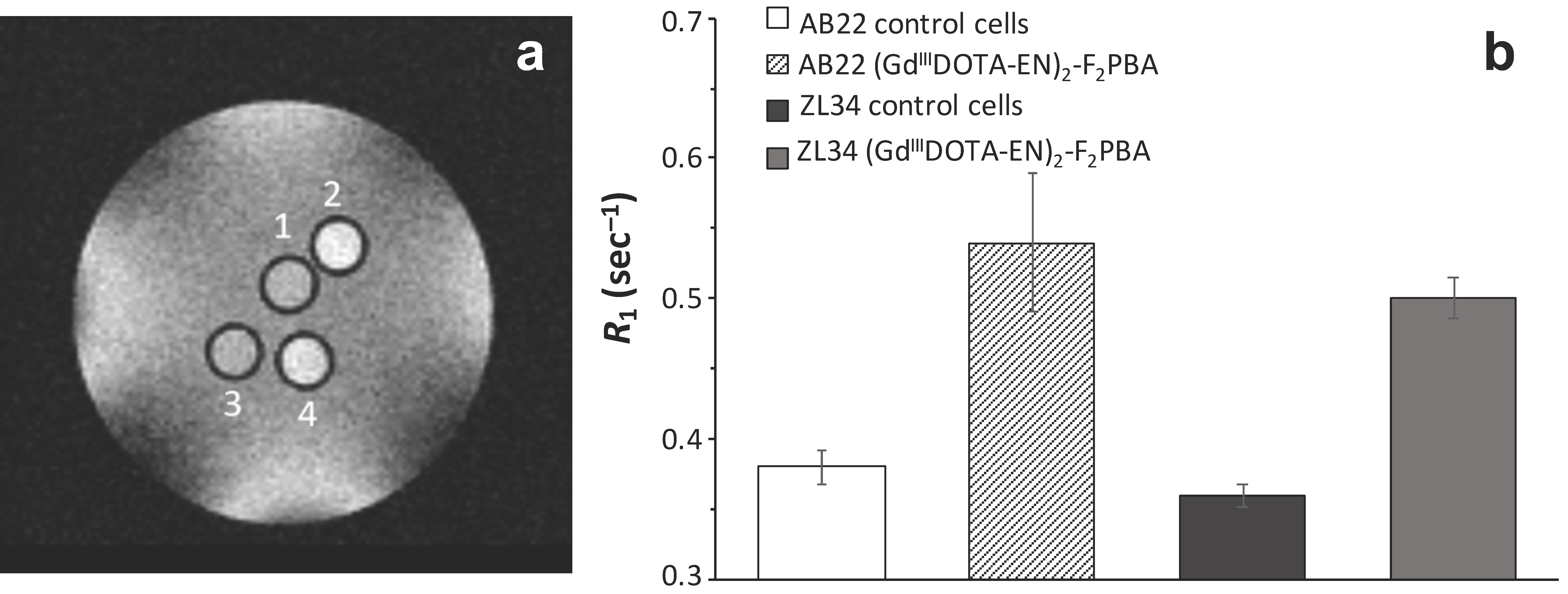 Molecules 26 01730 g007