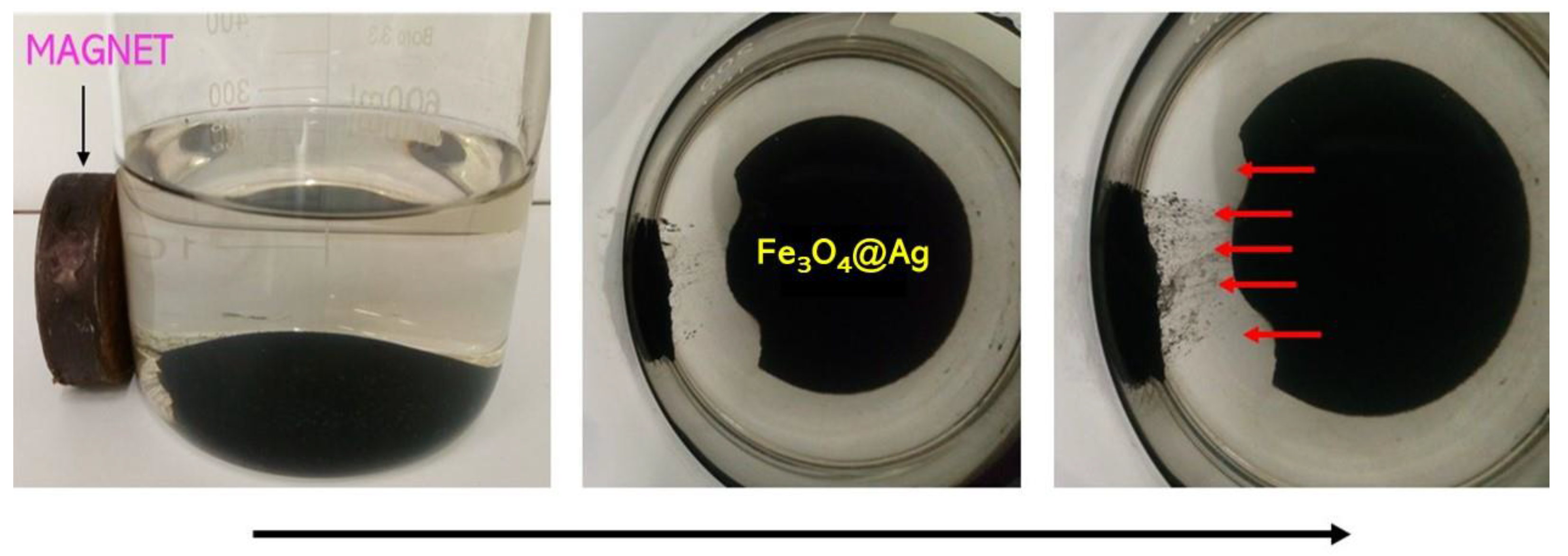 Molecules 26 01744 g005