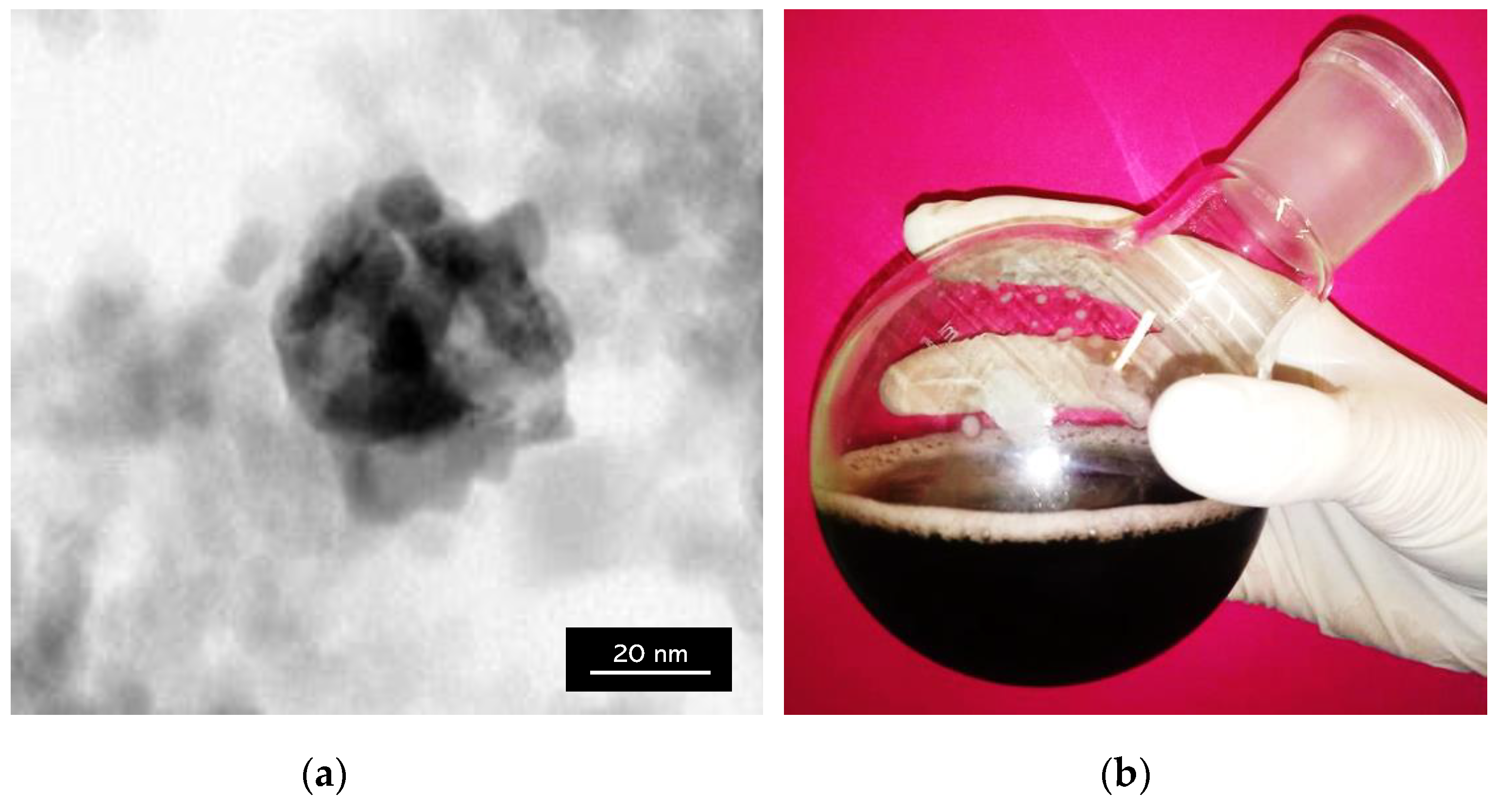 Molecules 26 01744 g010