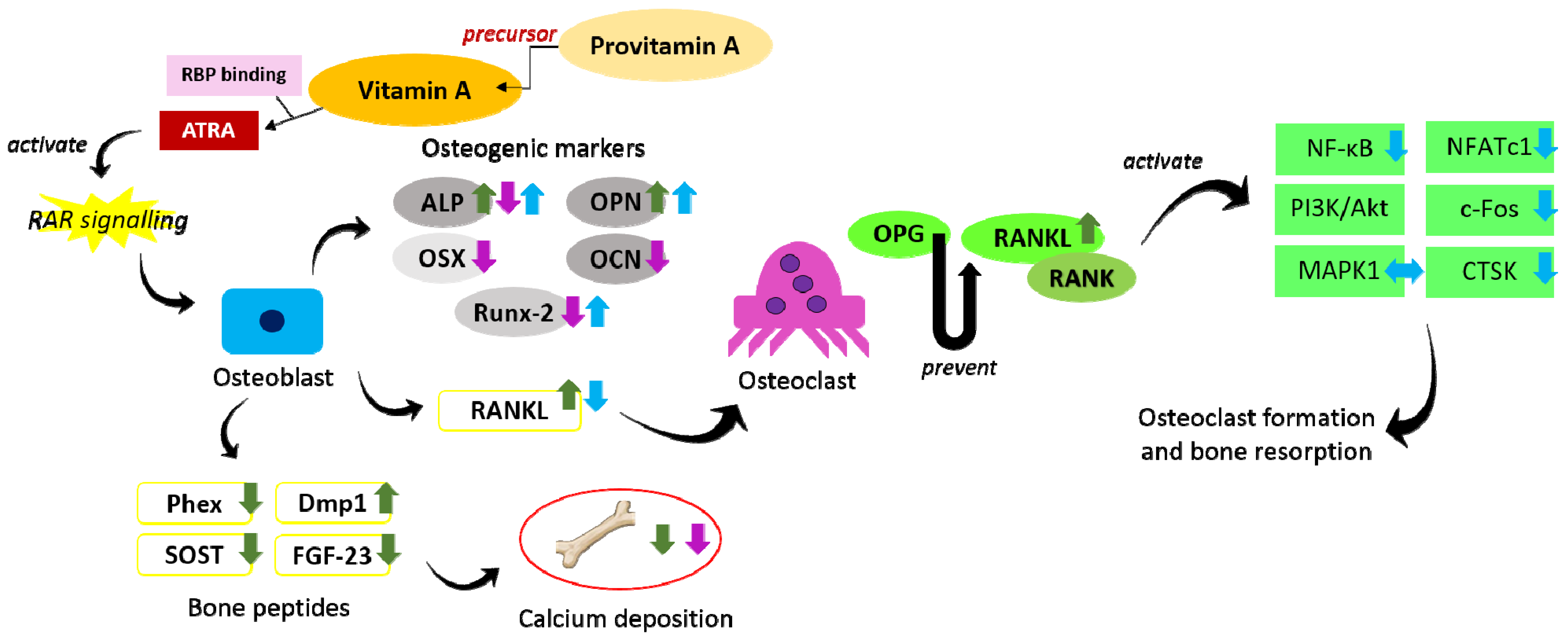Molecules 26 01757 g001 Molecules 26 01757 g001