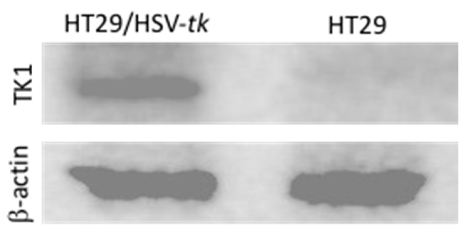 Molecules 26 01759 g008 Molecules 26 01759 g008