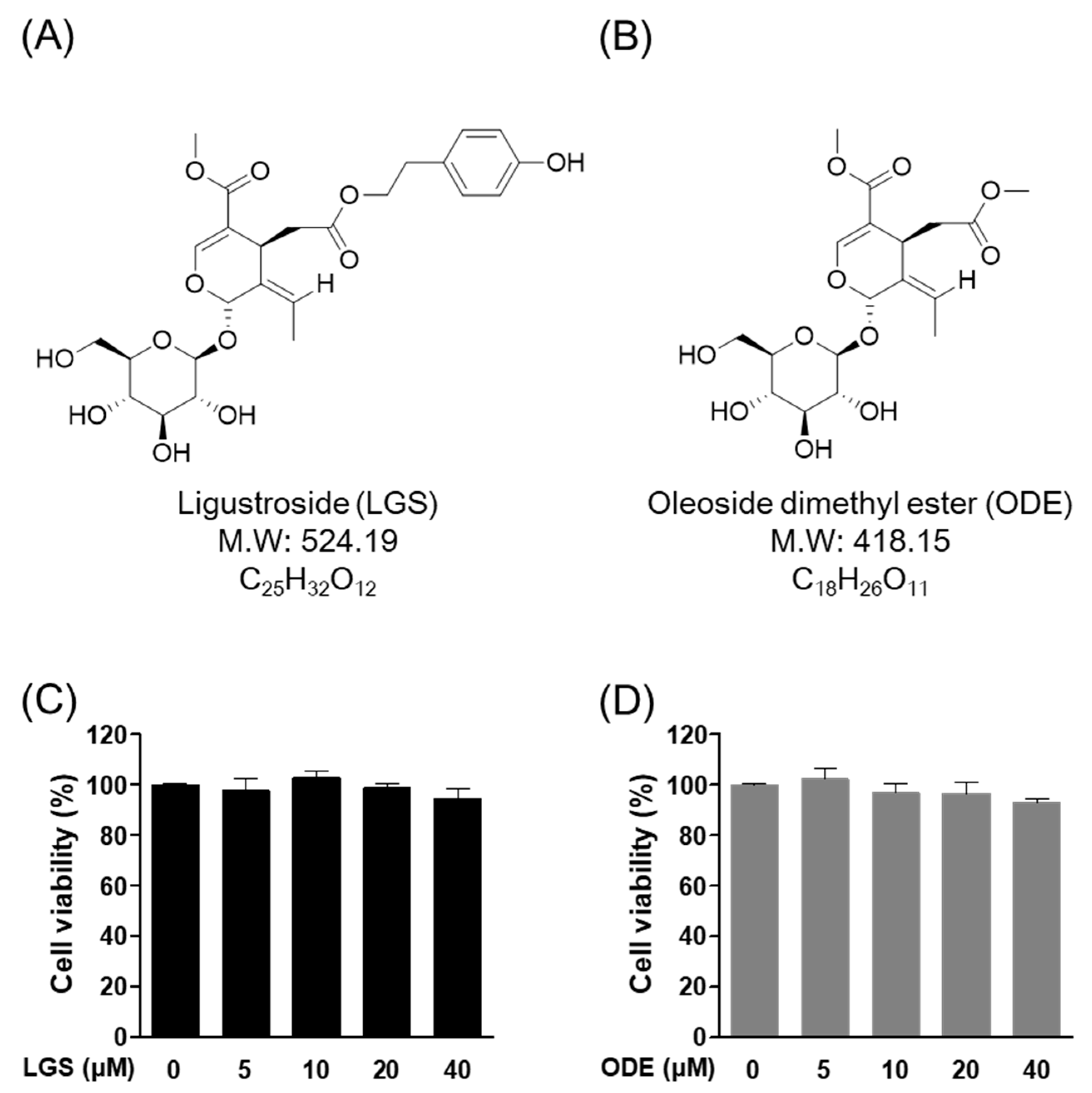 Molecules 26 01779 g001