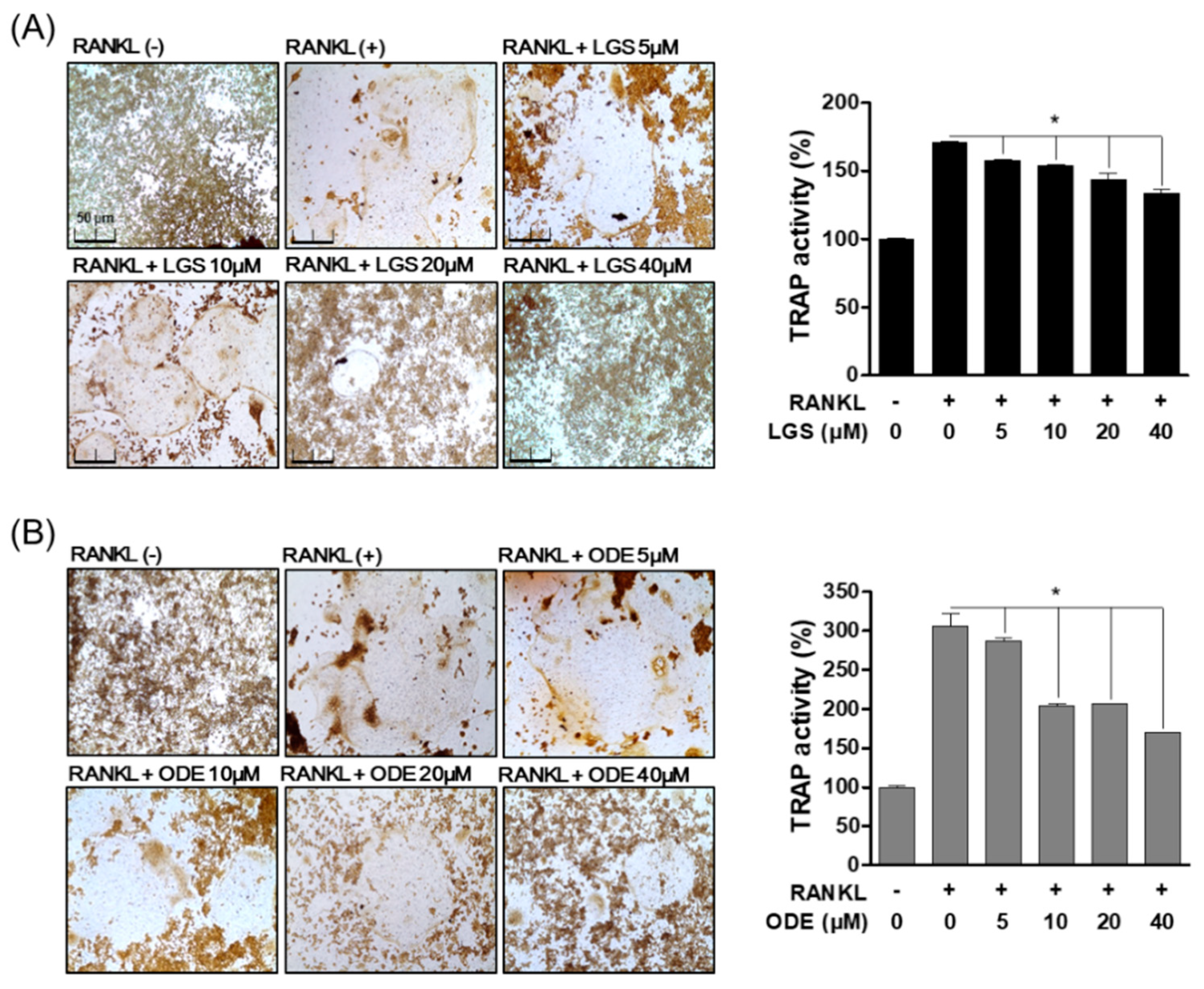 Molecules 26 01779 g002
