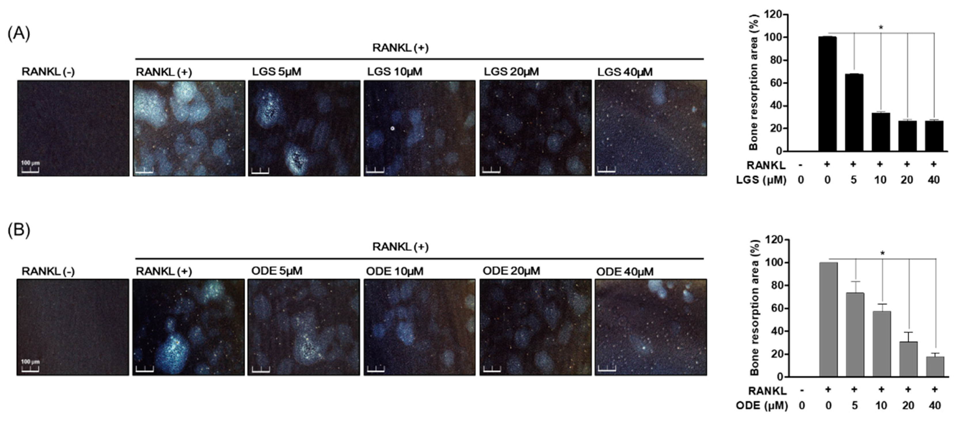 Molecules 26 01779 g004