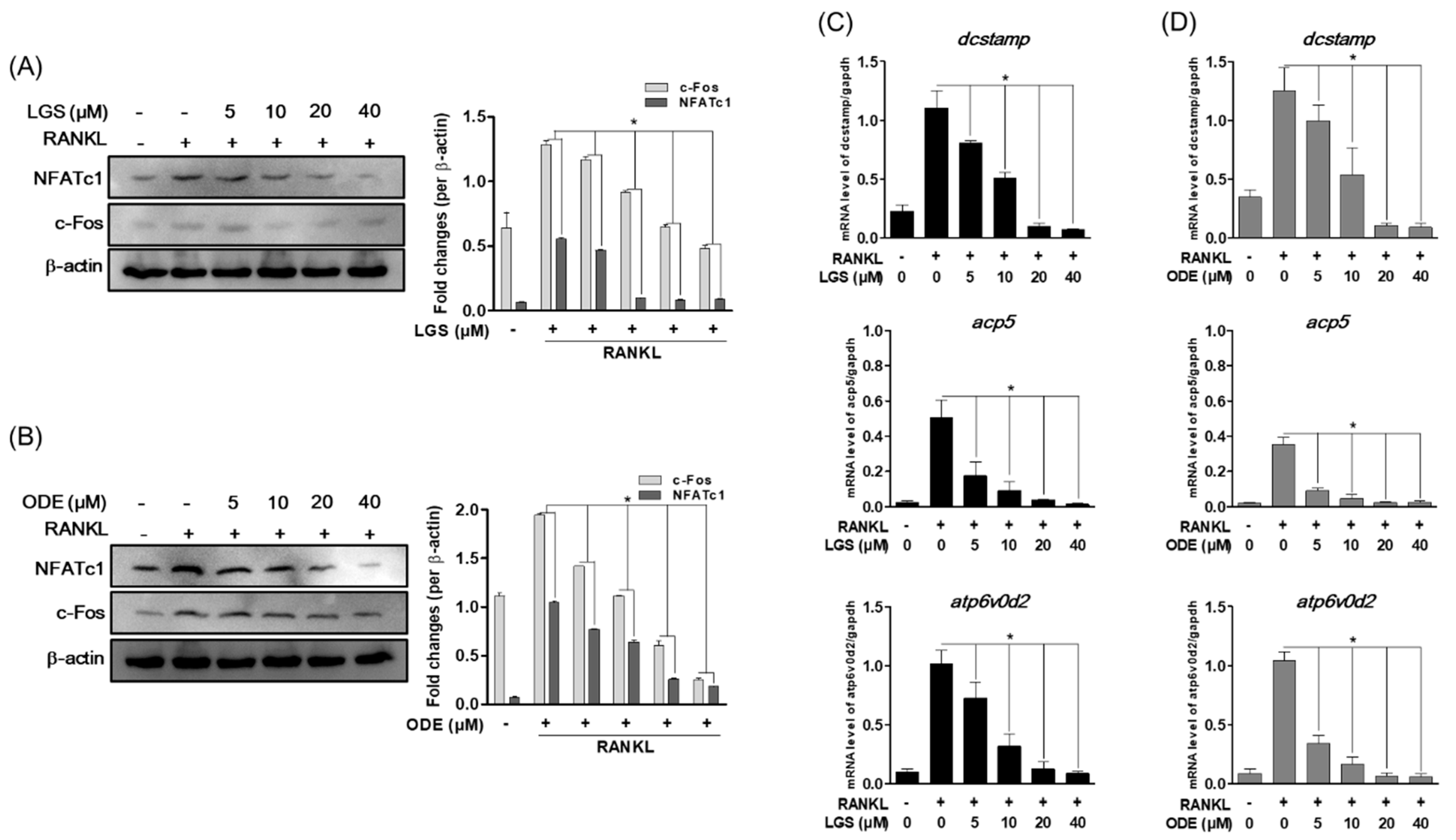 Molecules 26 01779 g005