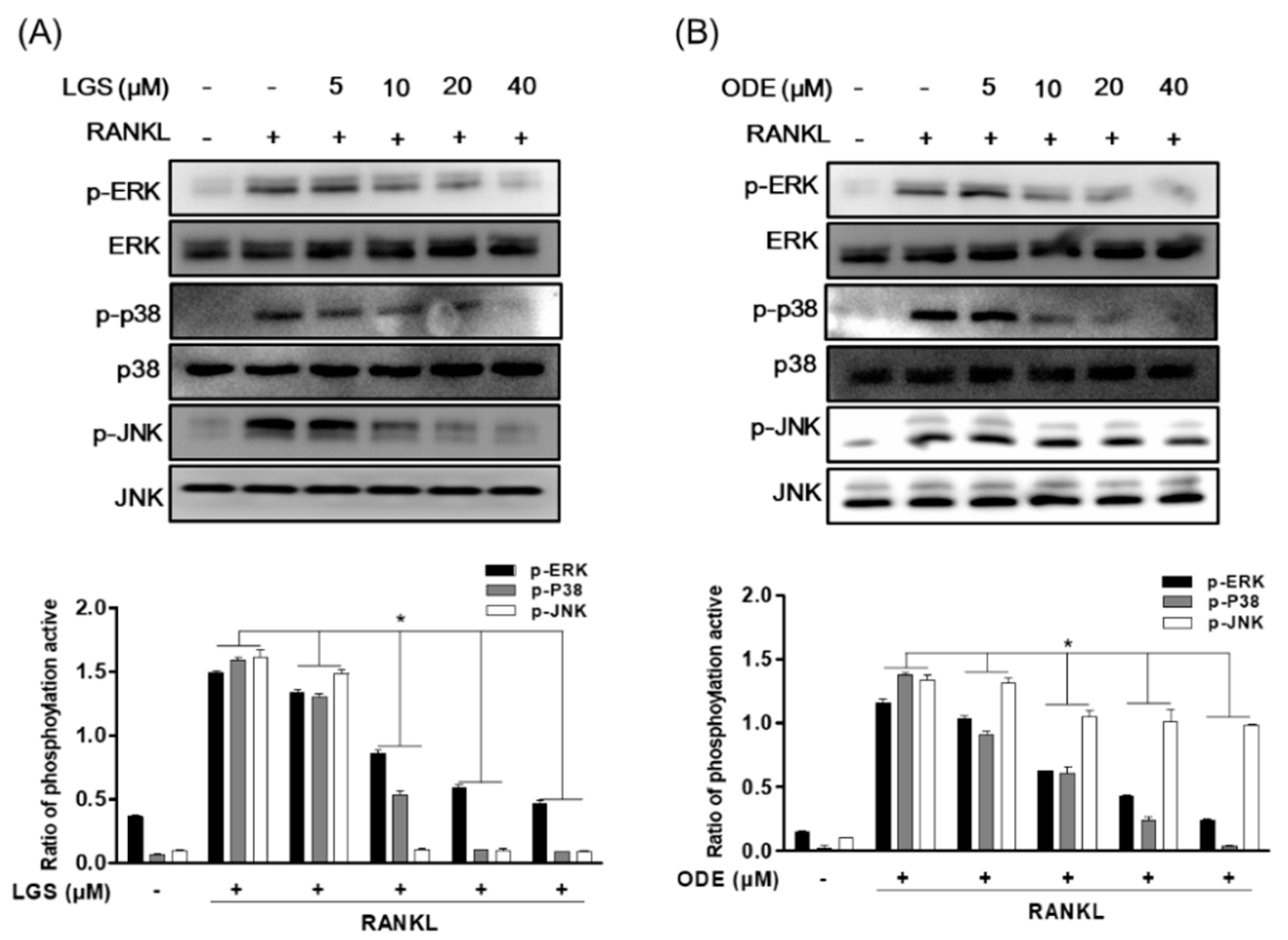 Molecules 26 01779 g006